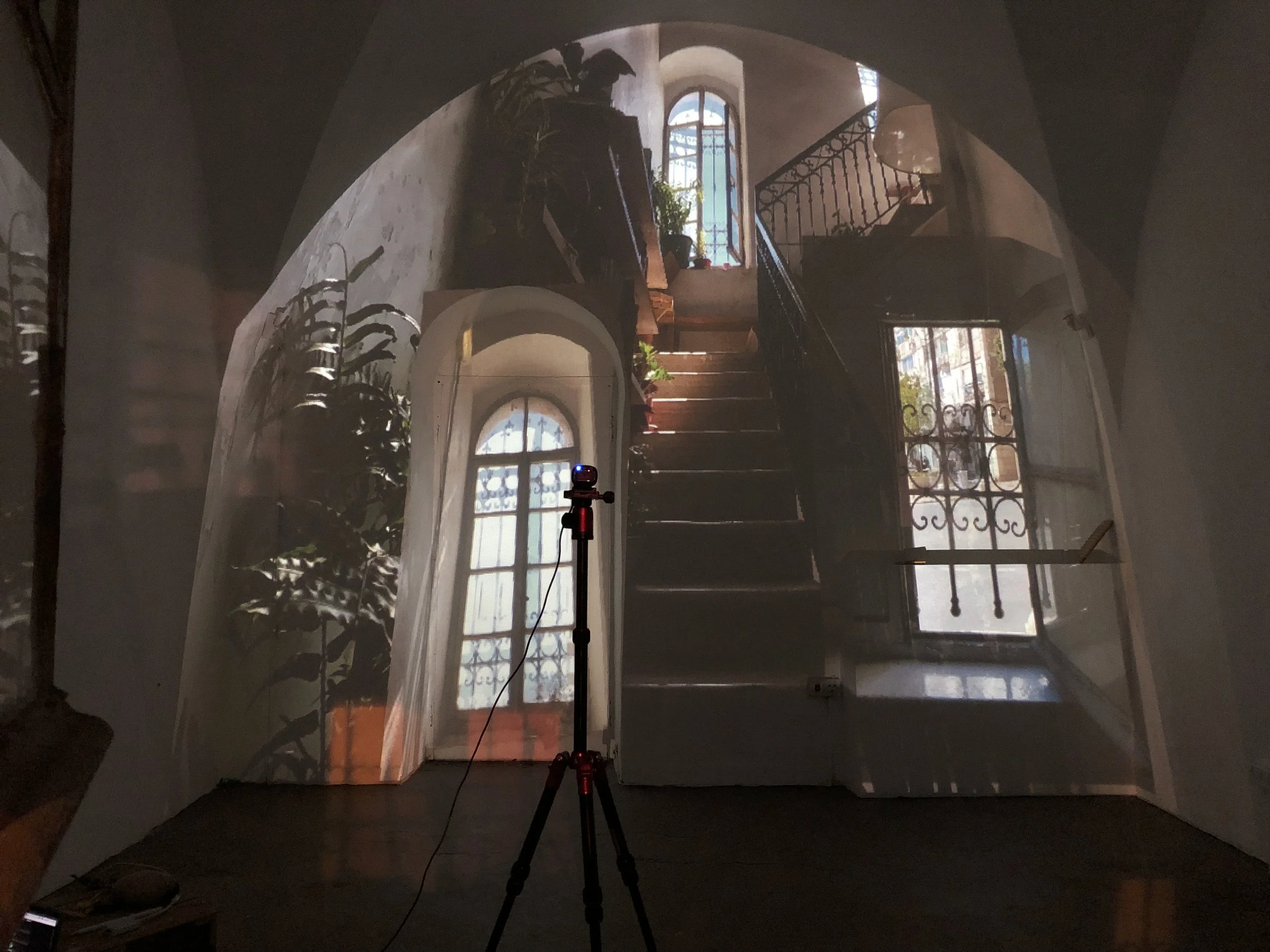 Projection of an interior staircase with windows and plants on a wall in a dimly lit room.