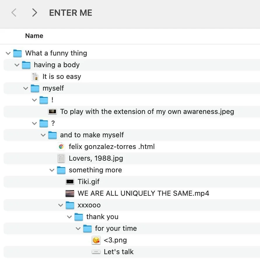 This is a screenshot of some of the folders the viewer encounters on the computer when connecting the hard drive.