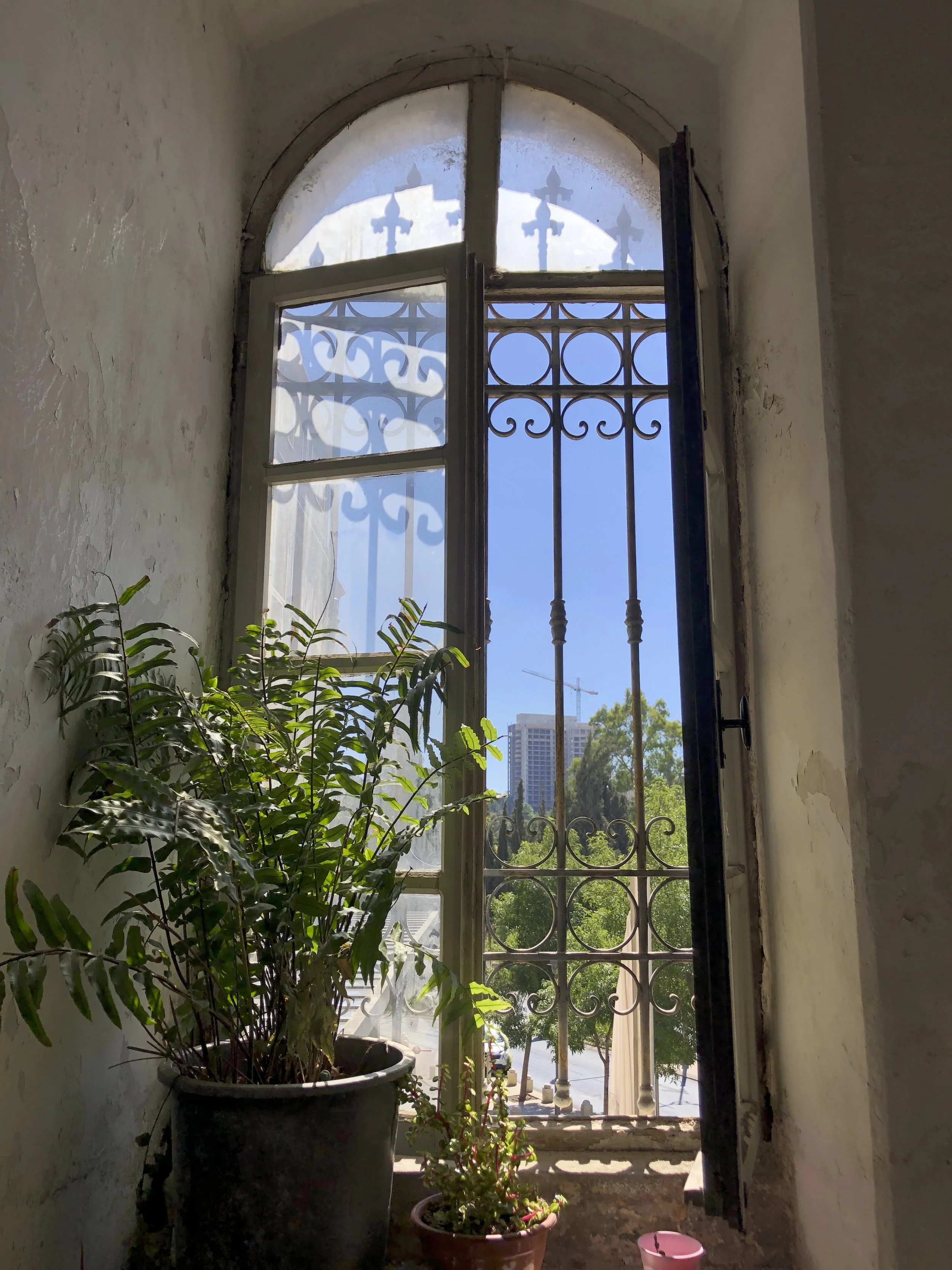 Open window with iron bars and decorative patterns, sunlight casting shadows, potted plants on the windowsill, trees and buildings visible outside on a bright day.