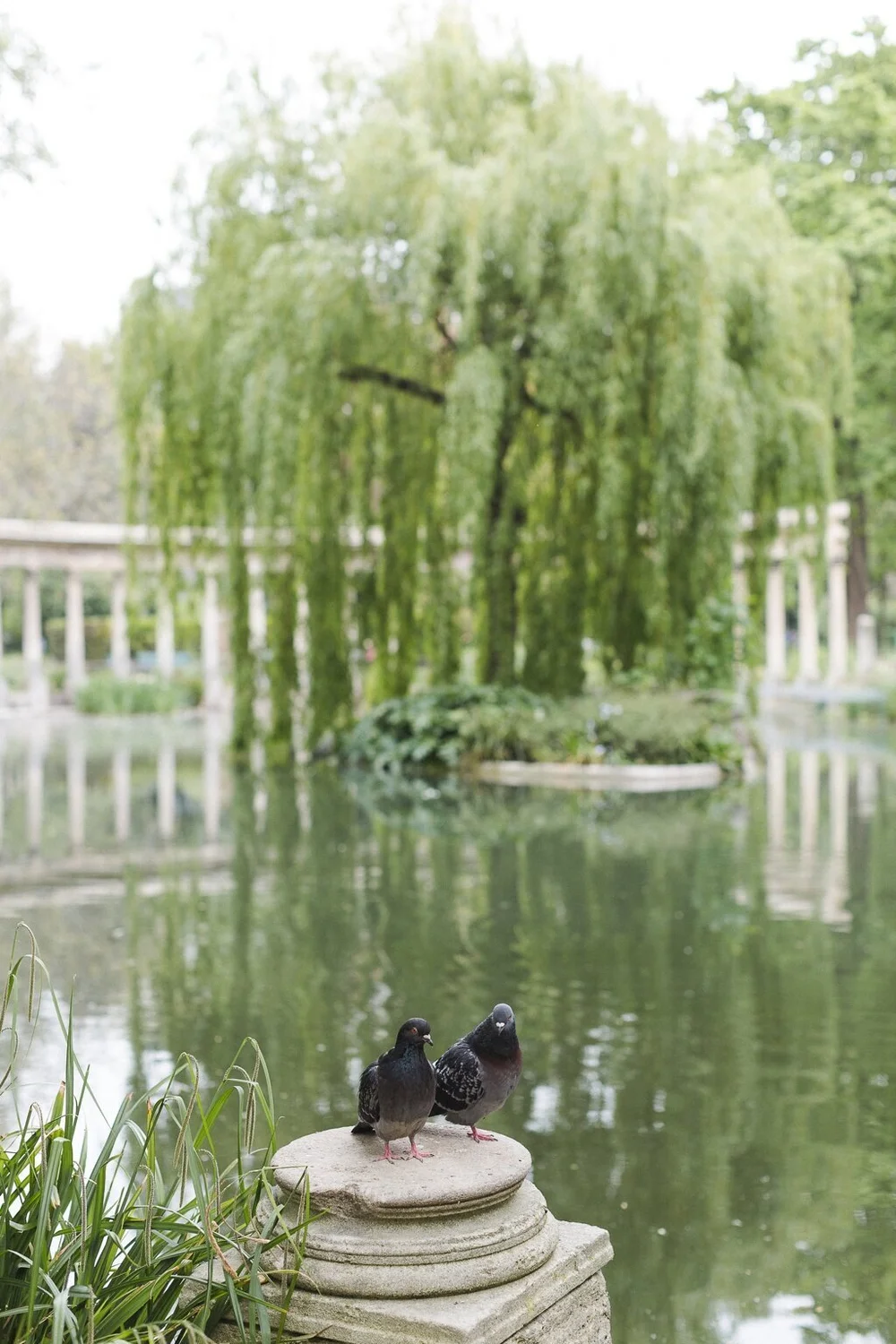 Spring Elopement | Paris | Special Guests