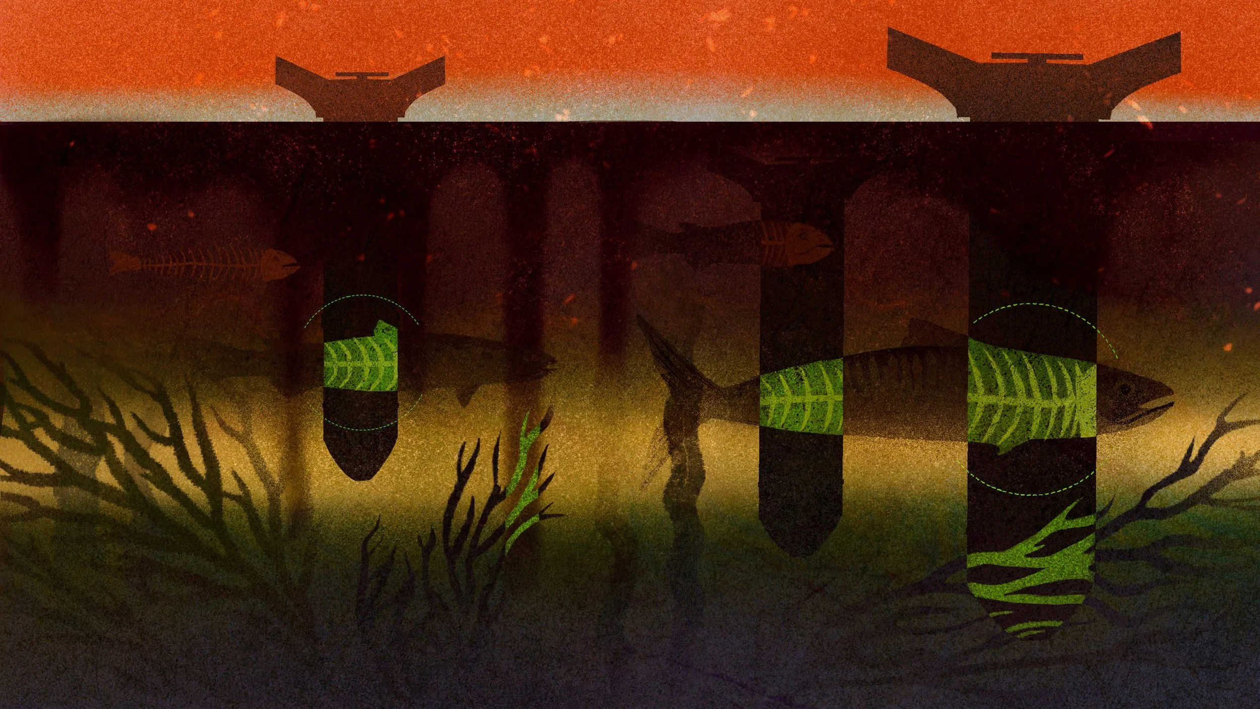 editorial-illustration-for-wired-middle-east-fish-skeletons-revealed-by-underwater-sonar-scans-daria-lada.jpg