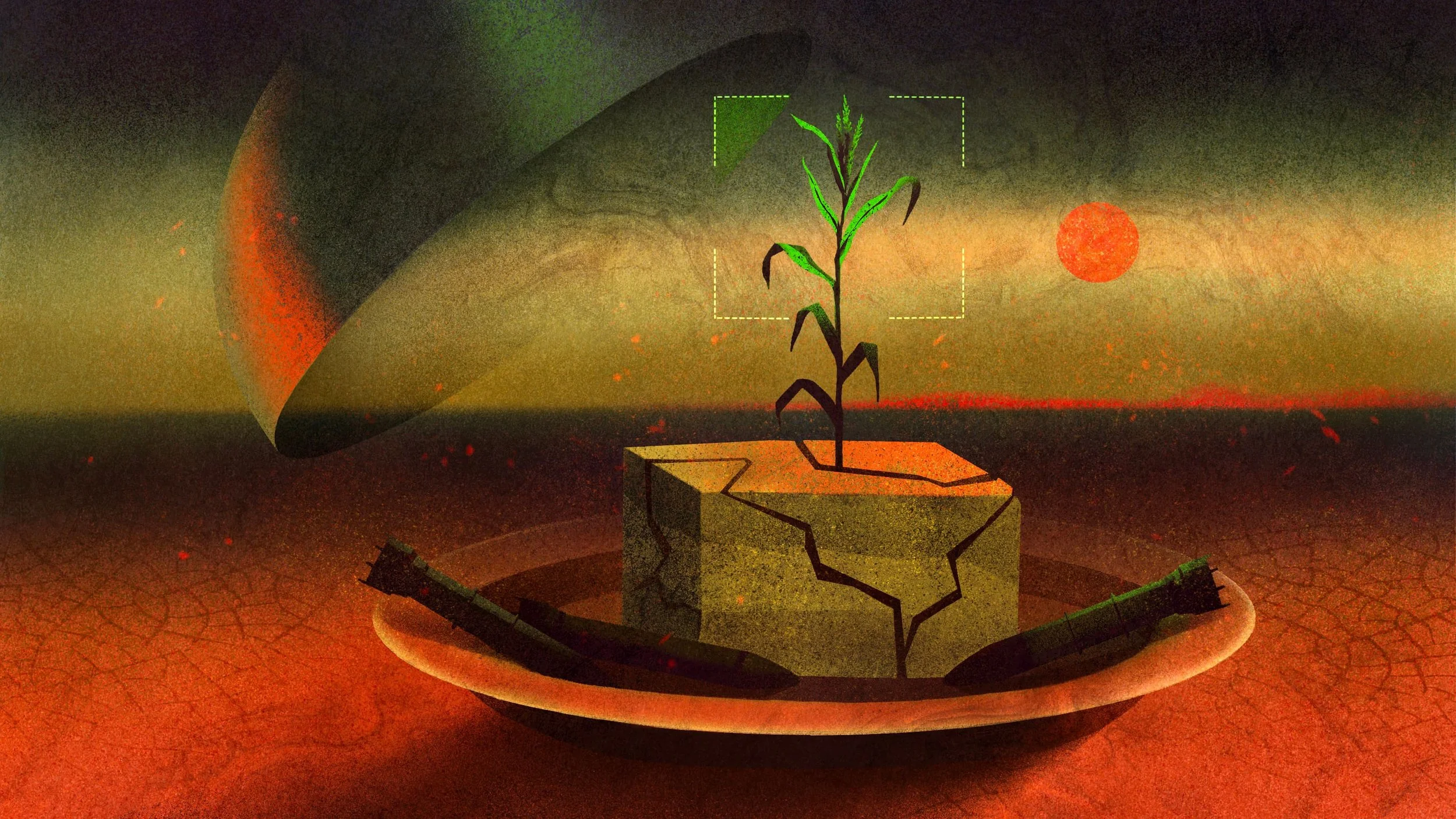 editorial-illustration-for-wired-middle-east-a-cracked-block-of-earth-sprouting-a-single-crop-under-extreme-heat-daria-lada.jpg