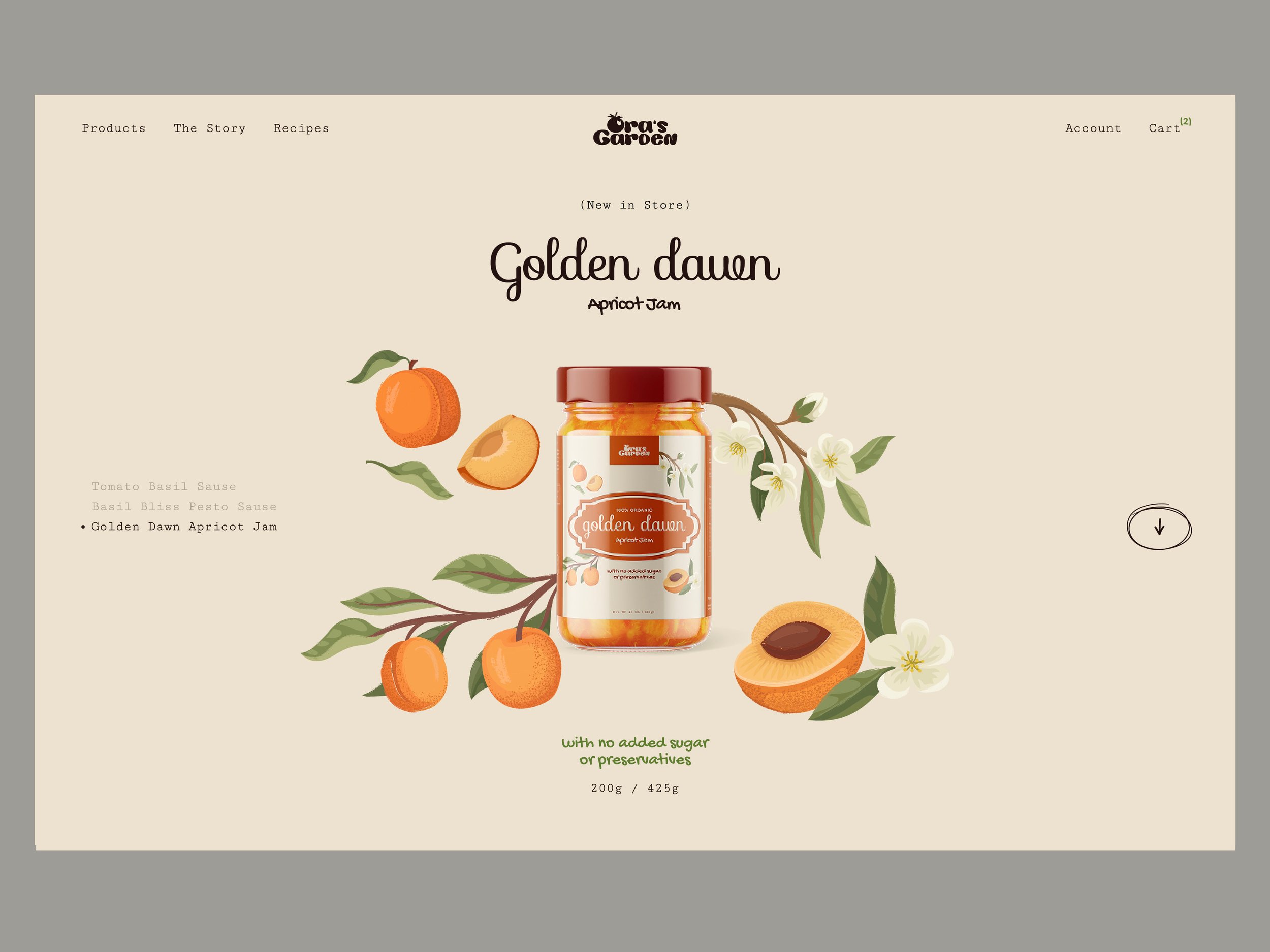 ui-illustrations-website-organic-jam-apricot-daria-lada.jpg