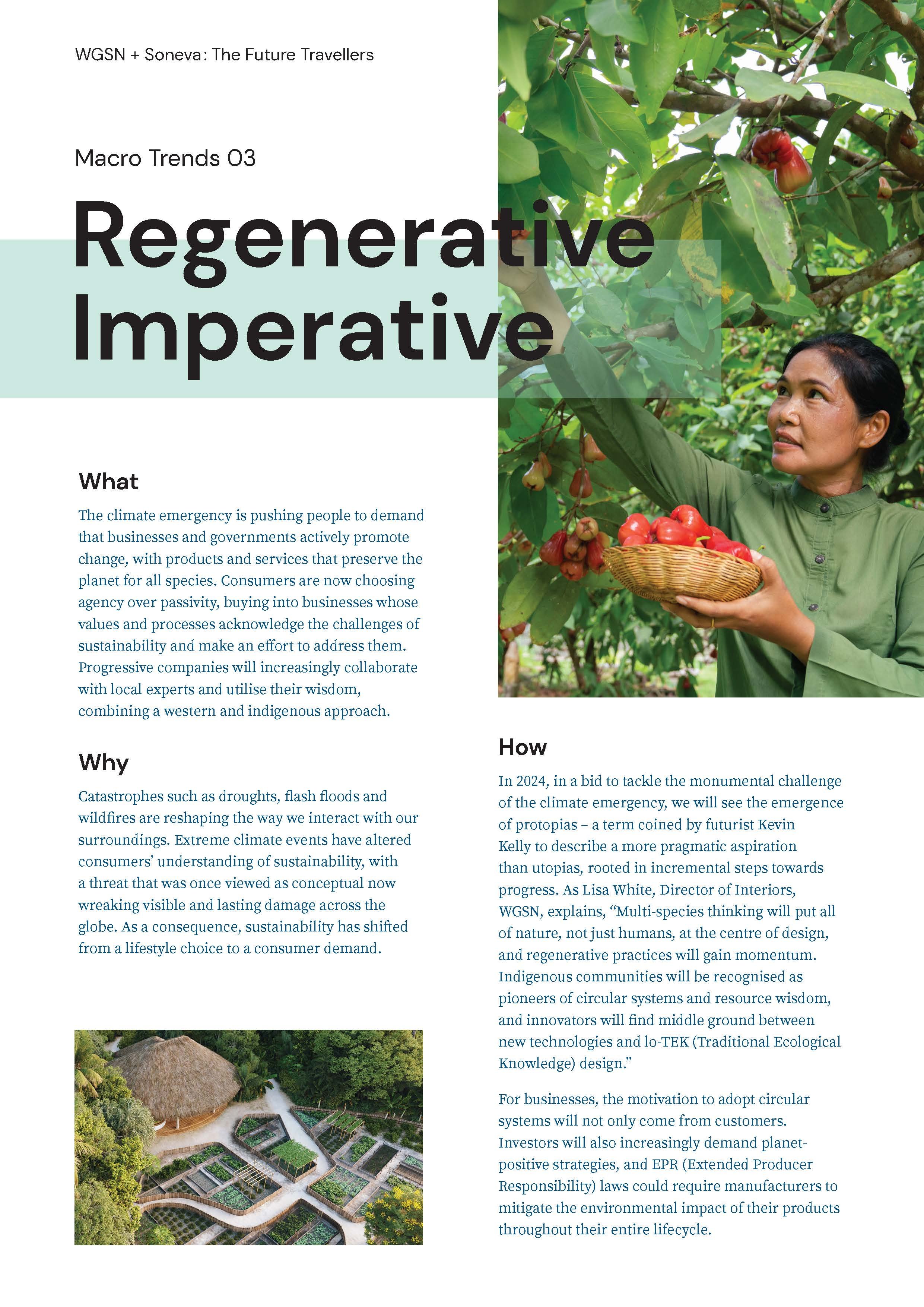 WP Soneva-WGSN 01-06_Page_11.jpg