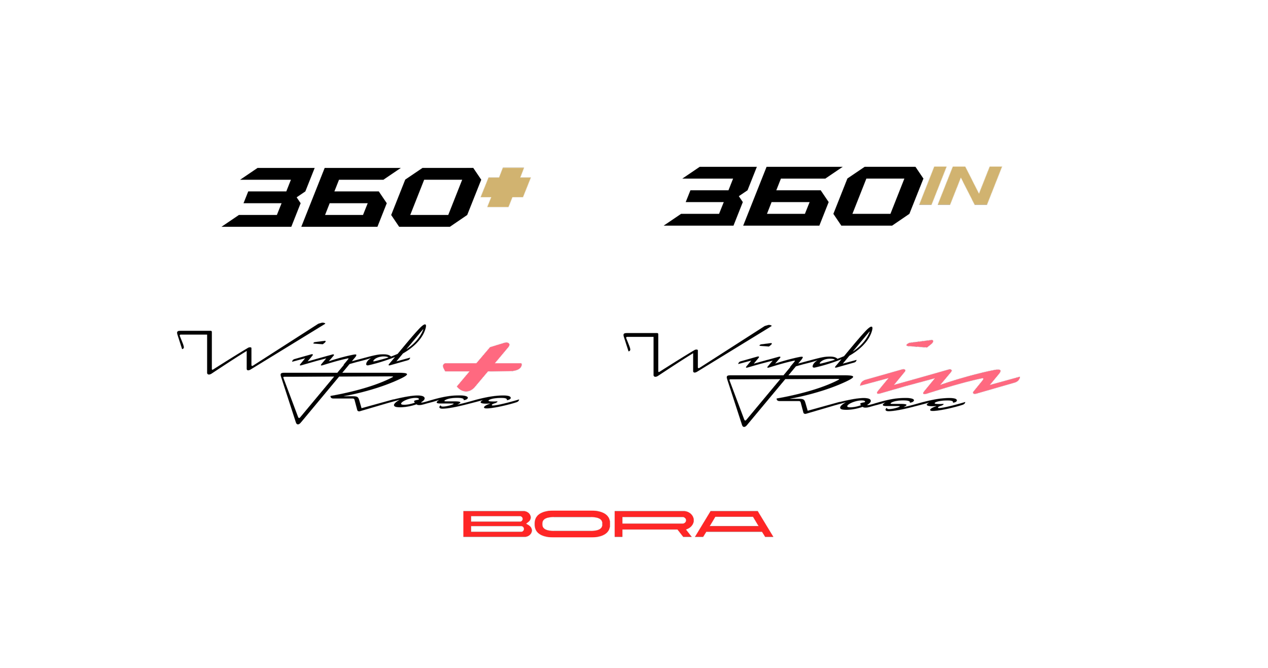 Diagram comparing the North and South poles with color-coded circles and symbols. The North pole is on the left with a blue circle and plus signs, the South pole on the right with a red circle and minus signs, and the central area has the word 'BORA' in red.
