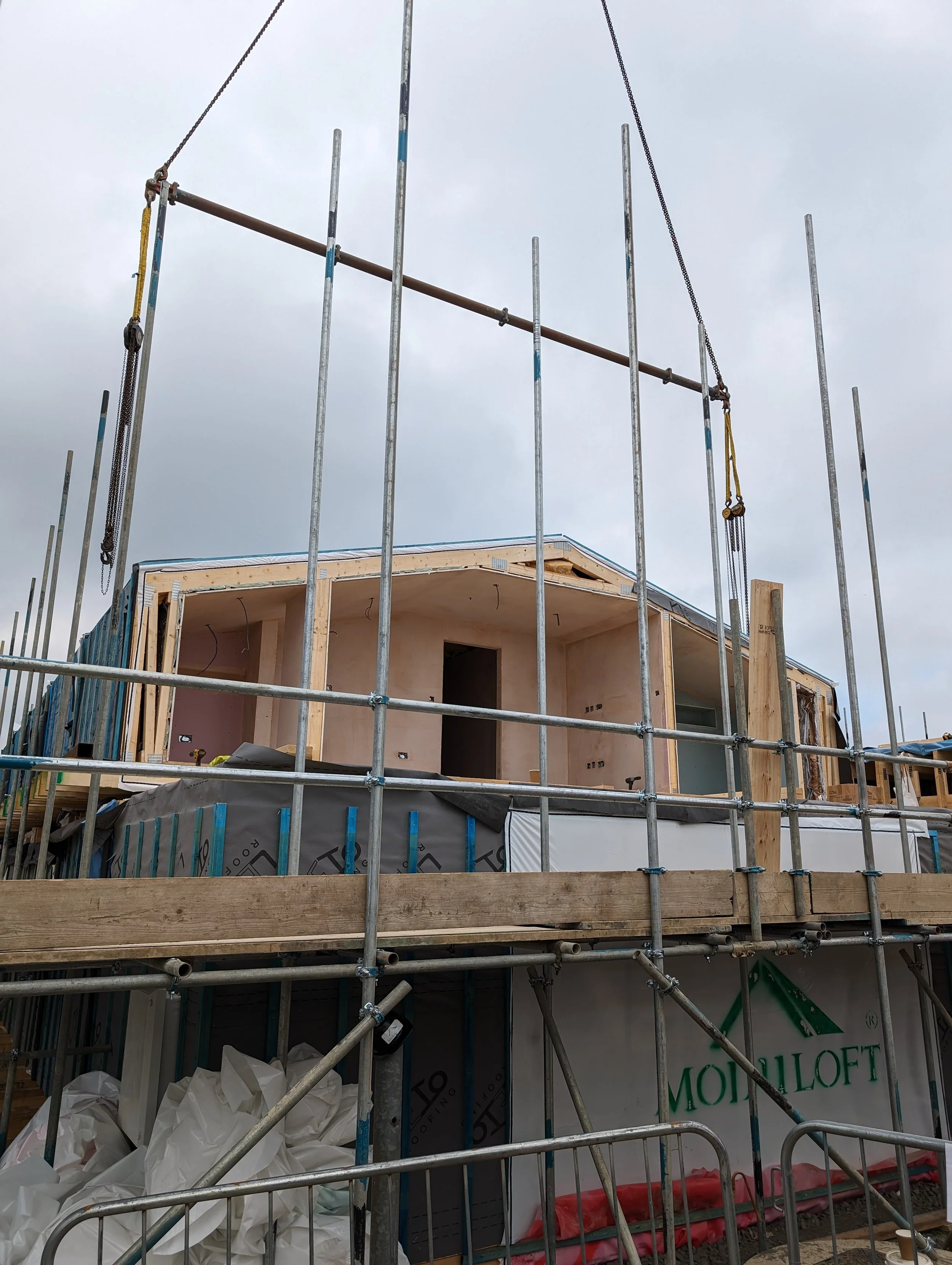 PXL_20240517_124444652.jpg