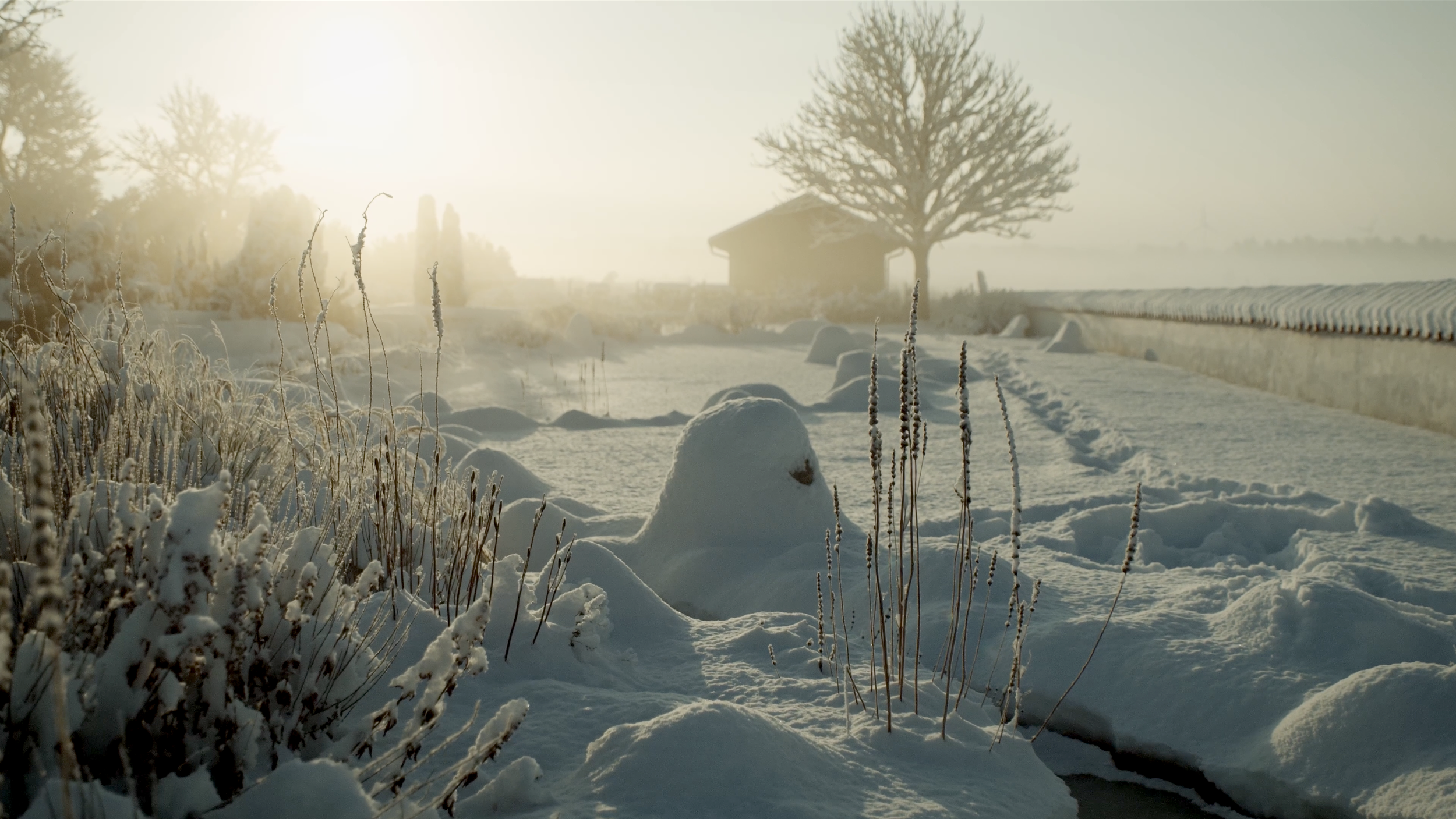 Junckerhavens vandløb ved Mørkøv Kirke – Vinter