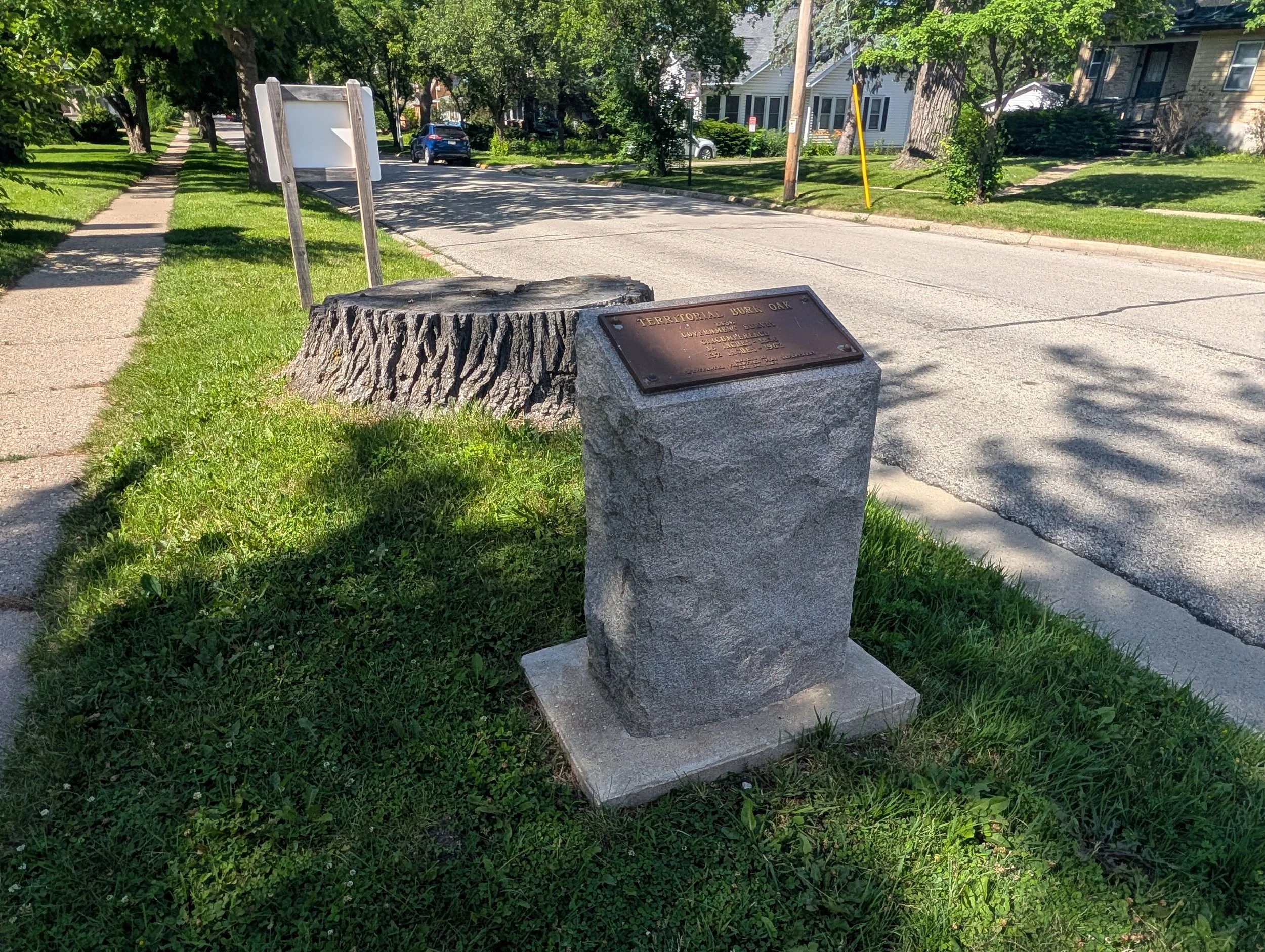 Territorial Oak