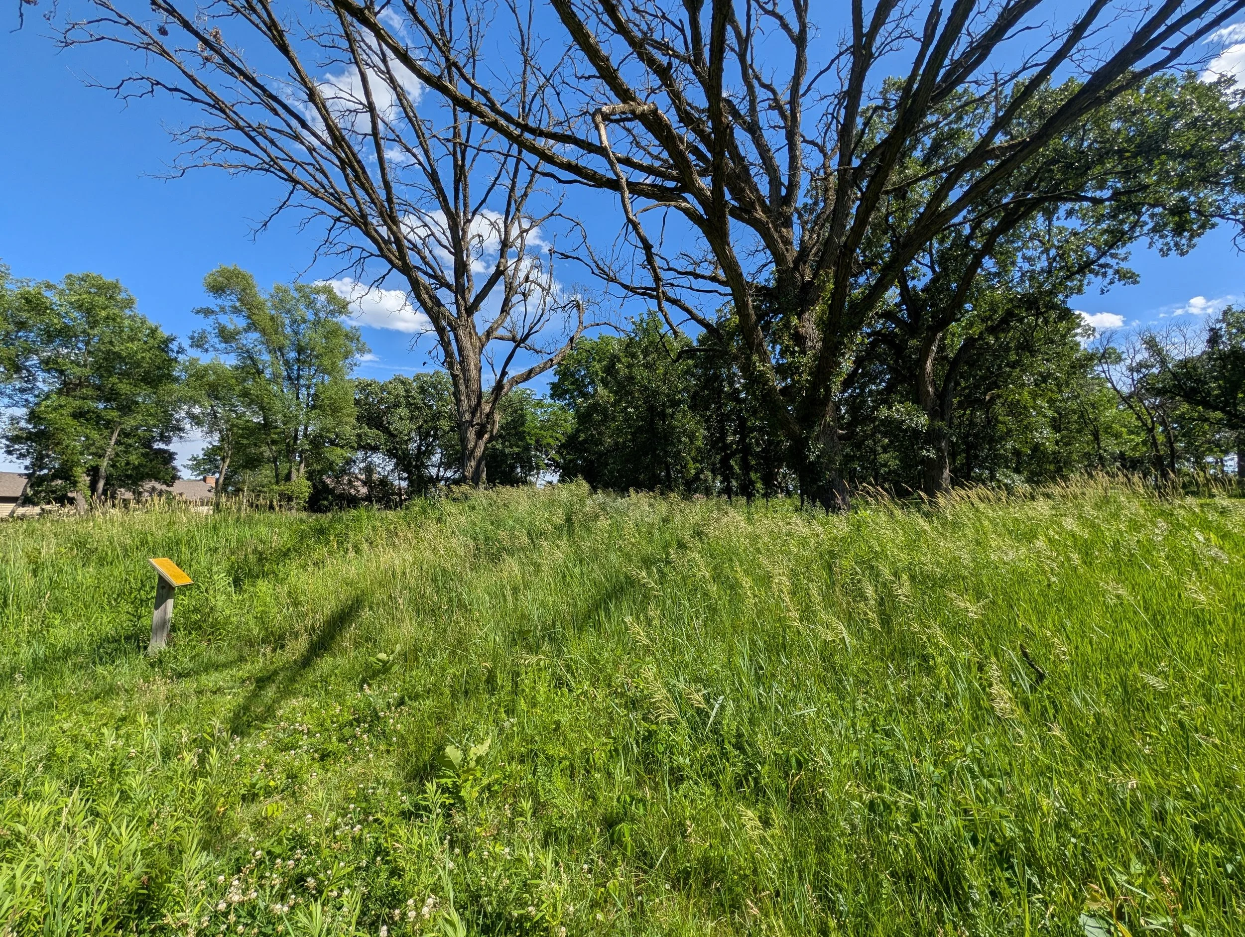 Whitewater Effigy Mounds Preserve