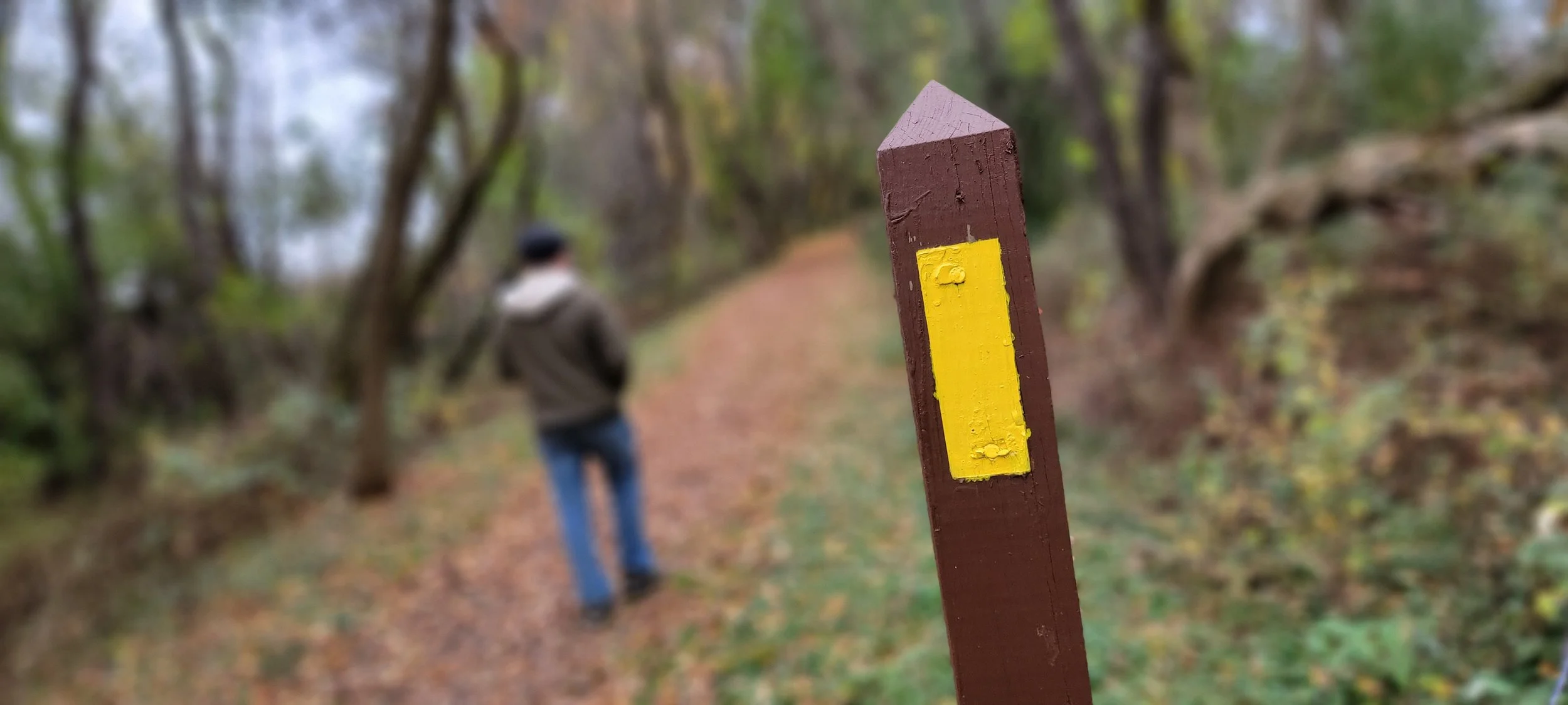 Ice Age Trail Group Hike and Outings for National Public Lands Day Celebration