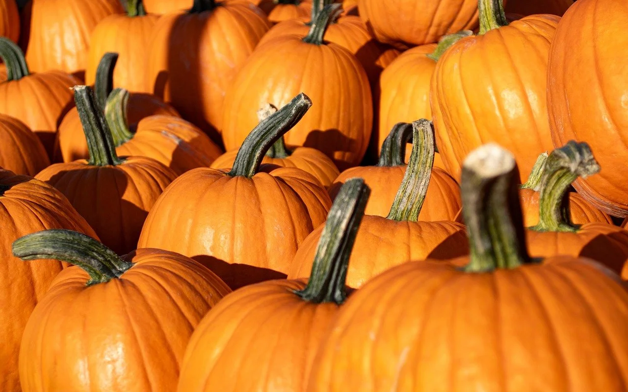 Five Festive Fall Family Fun Farms