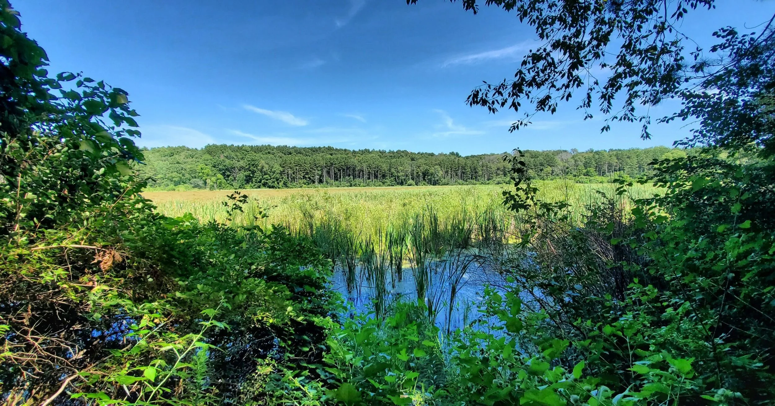 View from  John Muir Trail