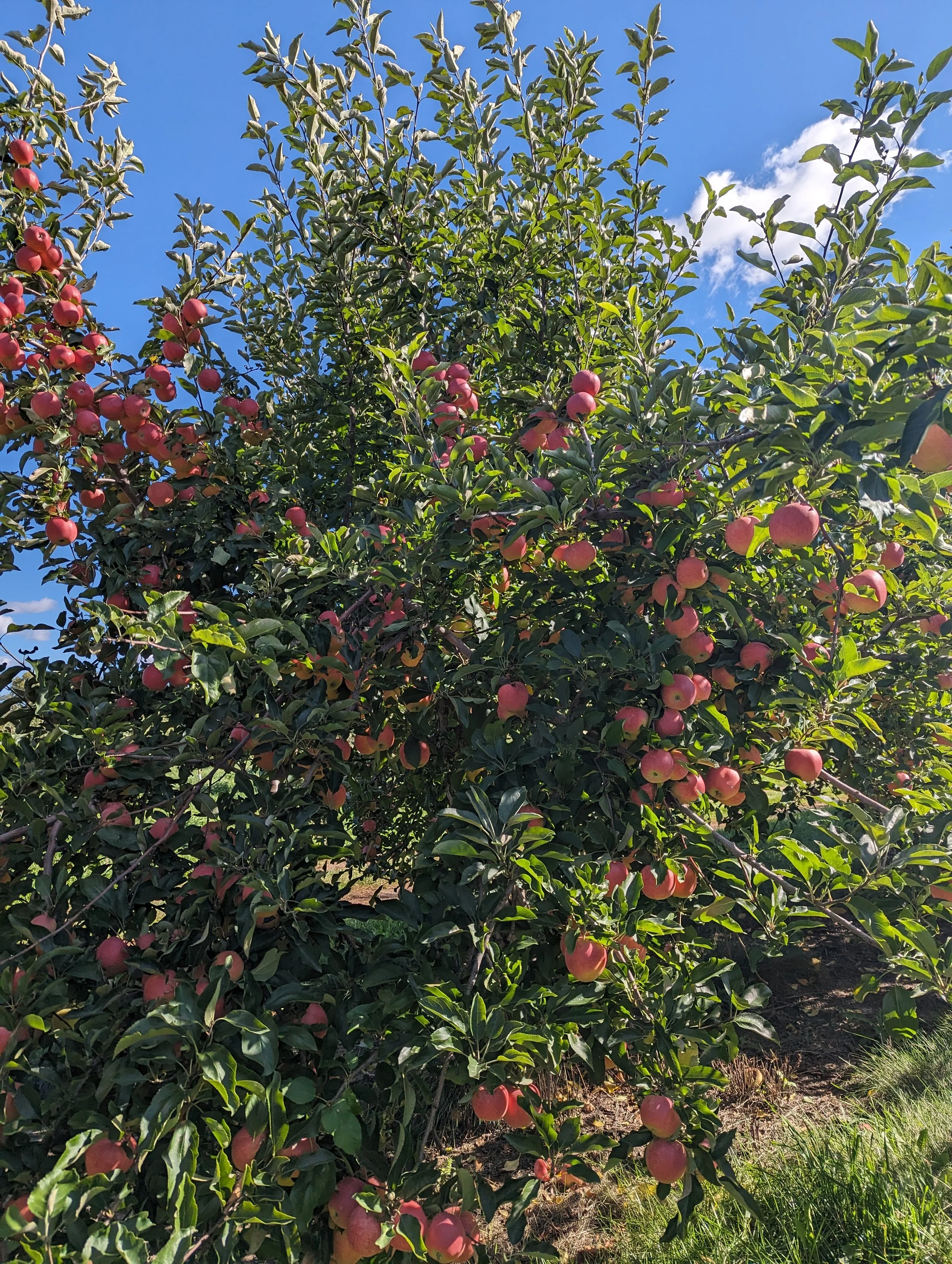 Agritourism in & around Whitewater, WI