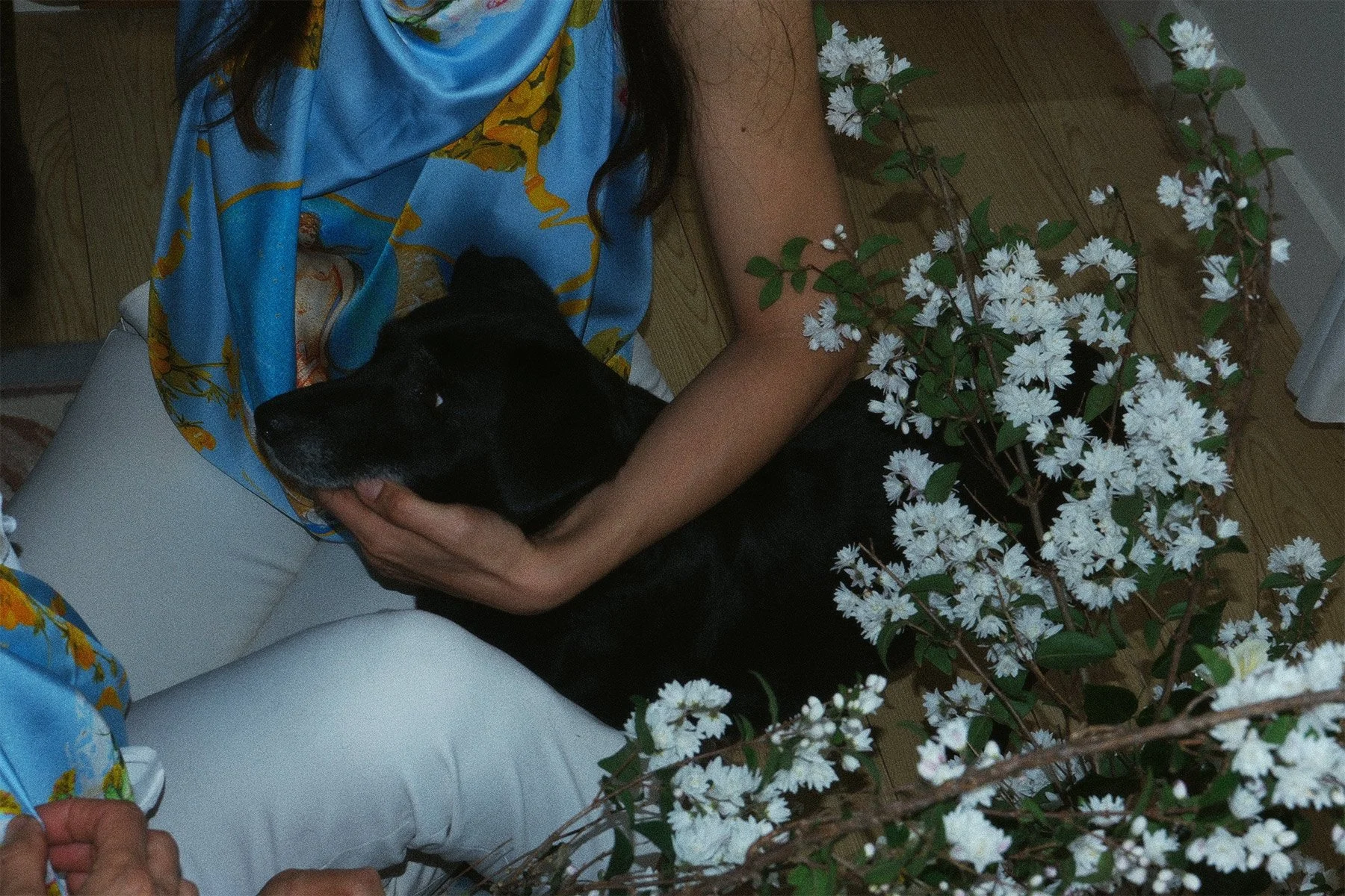 Deer_campagin_fátoli_blue_silk_scarf_minnie.jpg