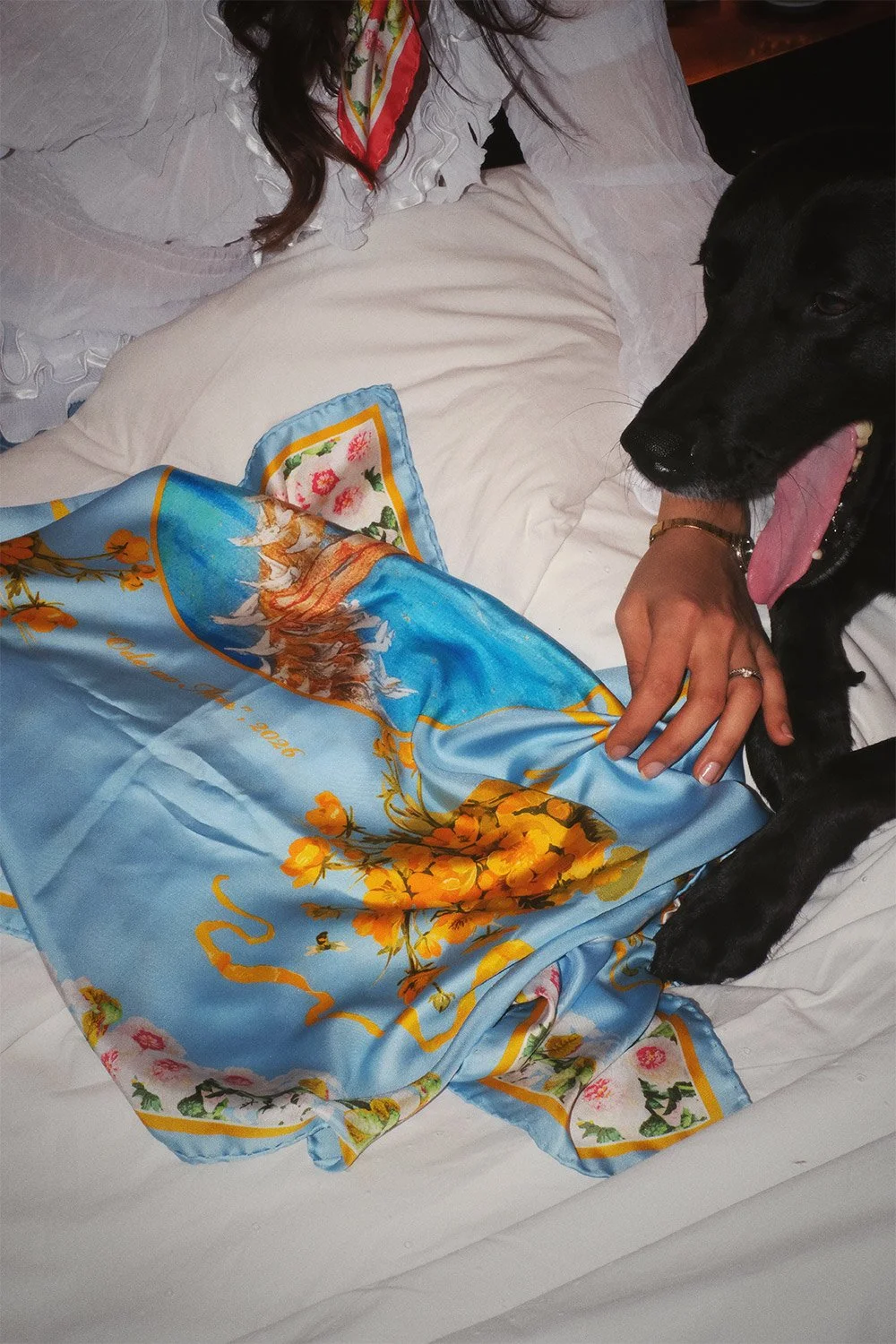 Blue Sky silk scarf and dog in a bed.