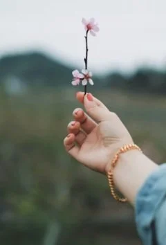Hand holding a small branch with pink flowers outdoors