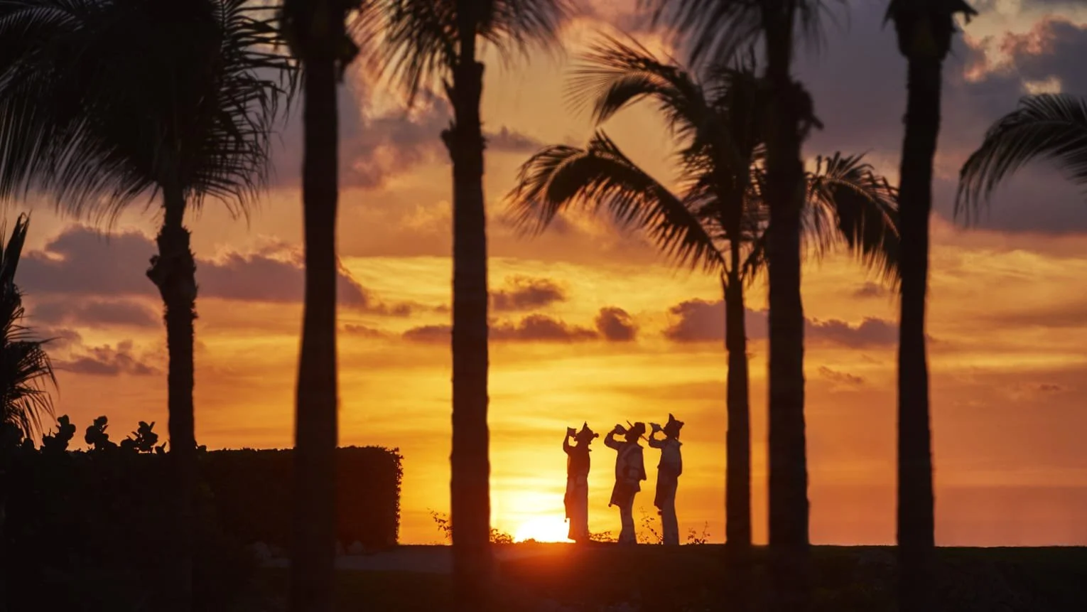Silhouettes of three people carrying luggage on a beach during a sunset, framed by palm trees.