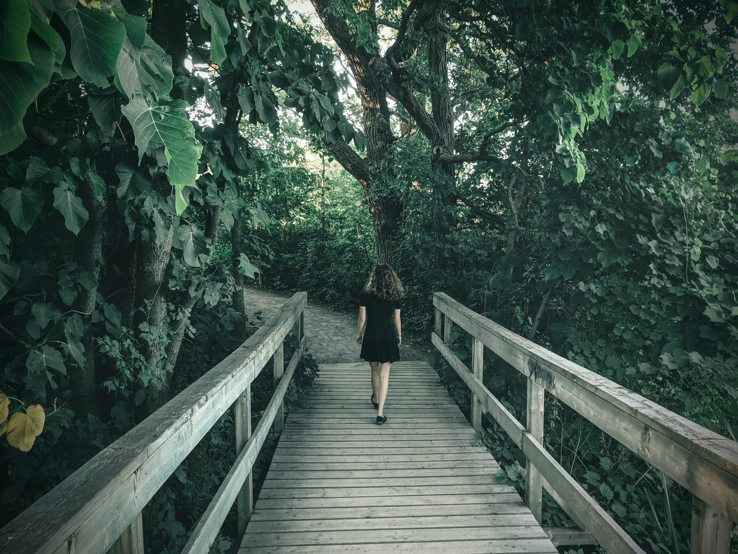 How Do I Come Back to Myself? 