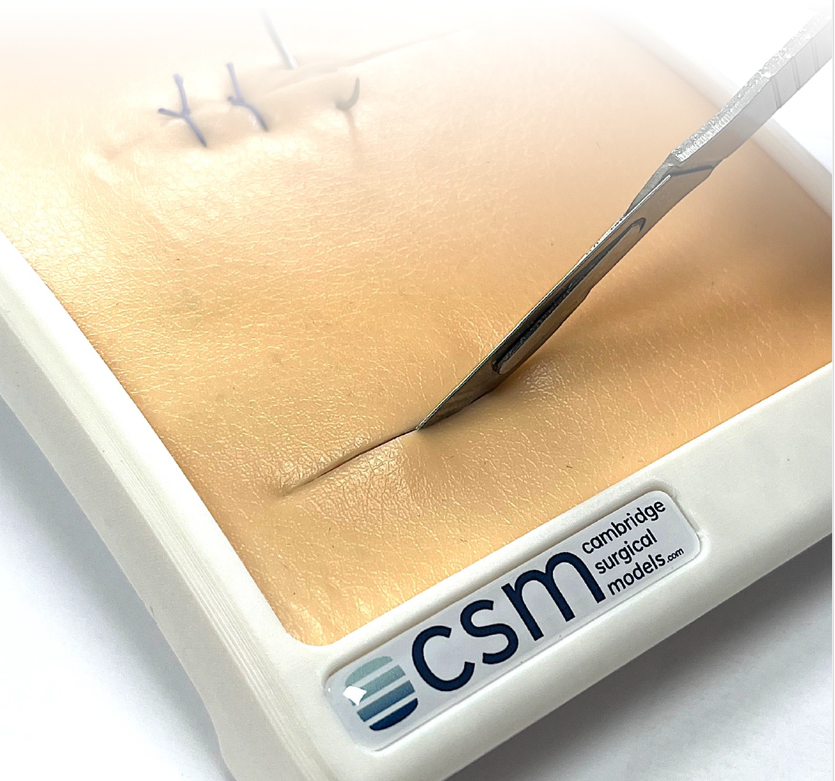 Cambridge Surgical Models Cambridge Surgical Models