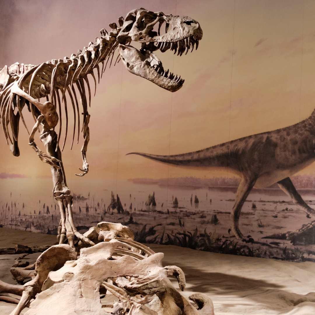 Dig2Display0169.jpg