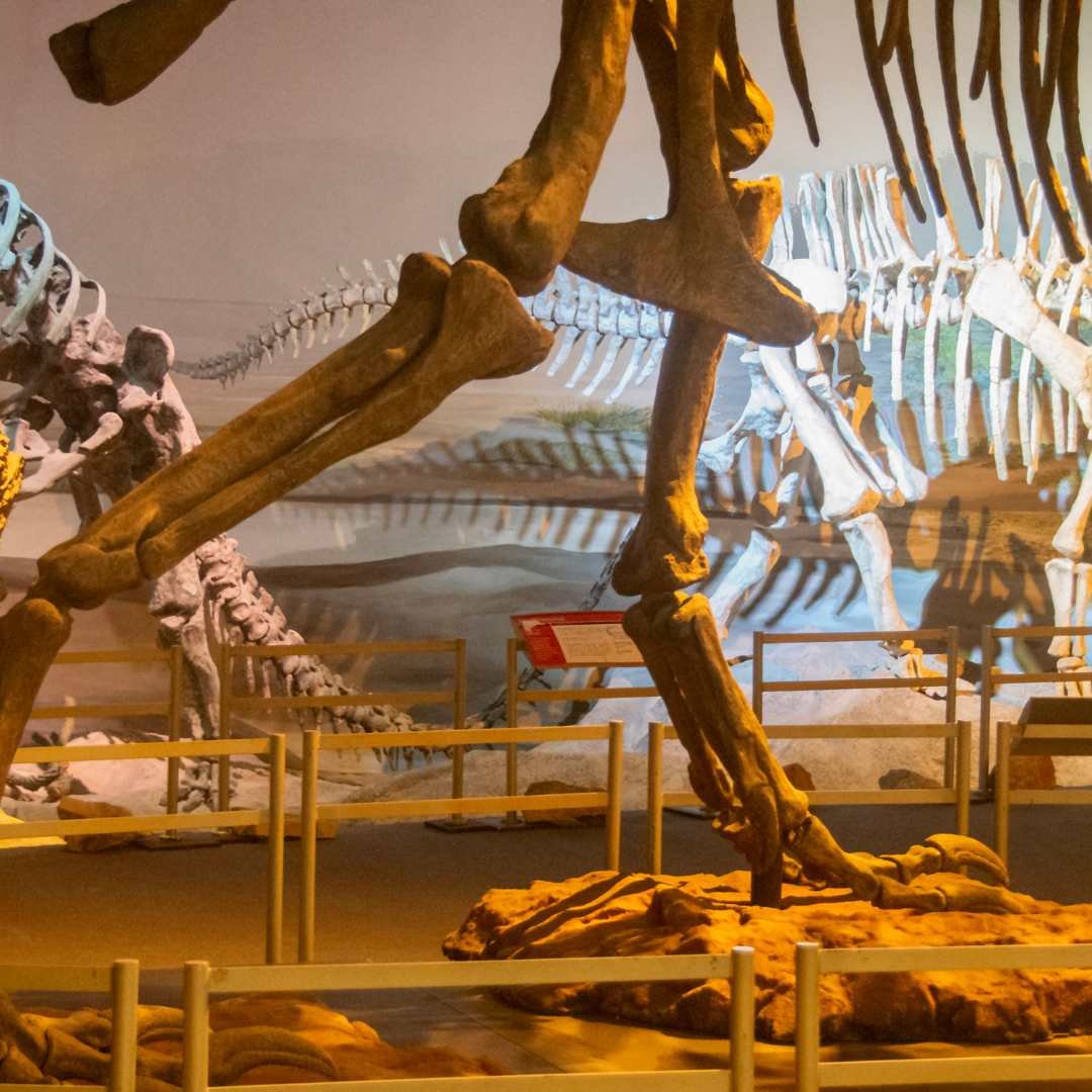 Dig2Display0166.jpg