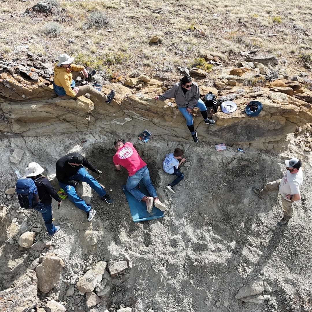 Dig2Display0176.jpg