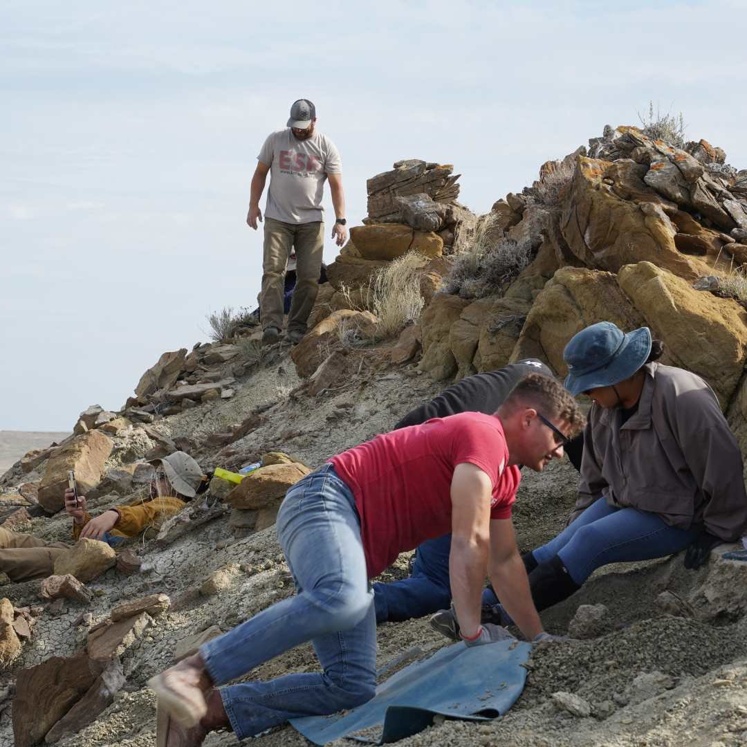 Dig2Display0174.jpg