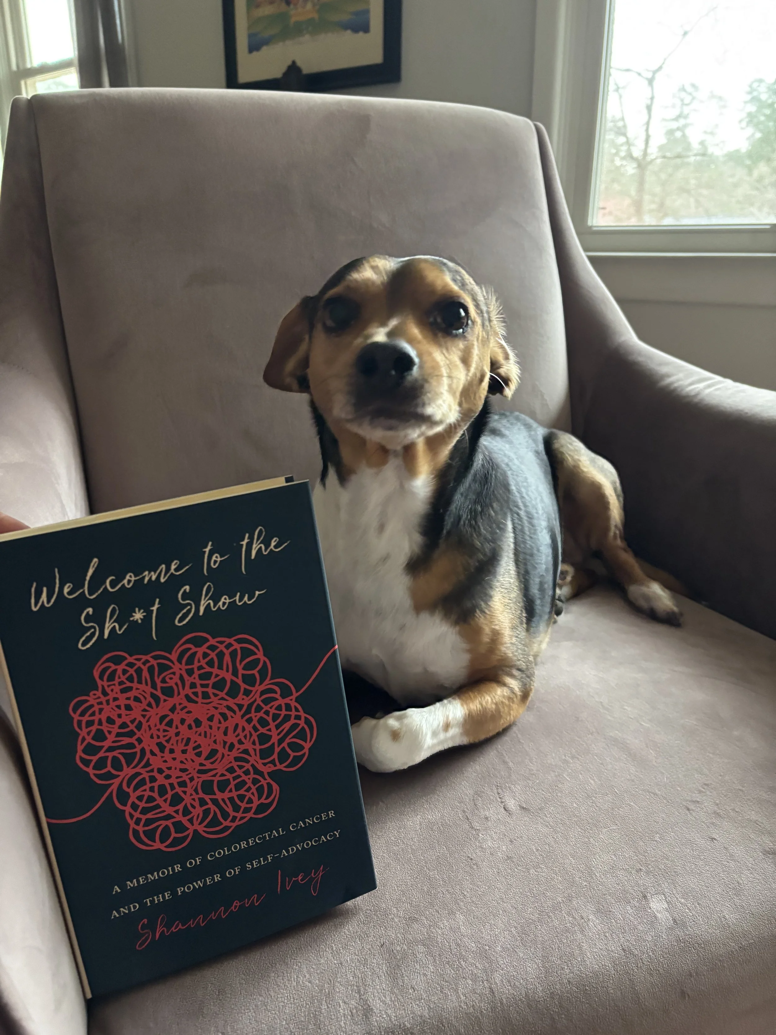 "Welcome to the Sh*t Show: A Memoir of Colorectal Cancer and the Power of Self Advocacy"