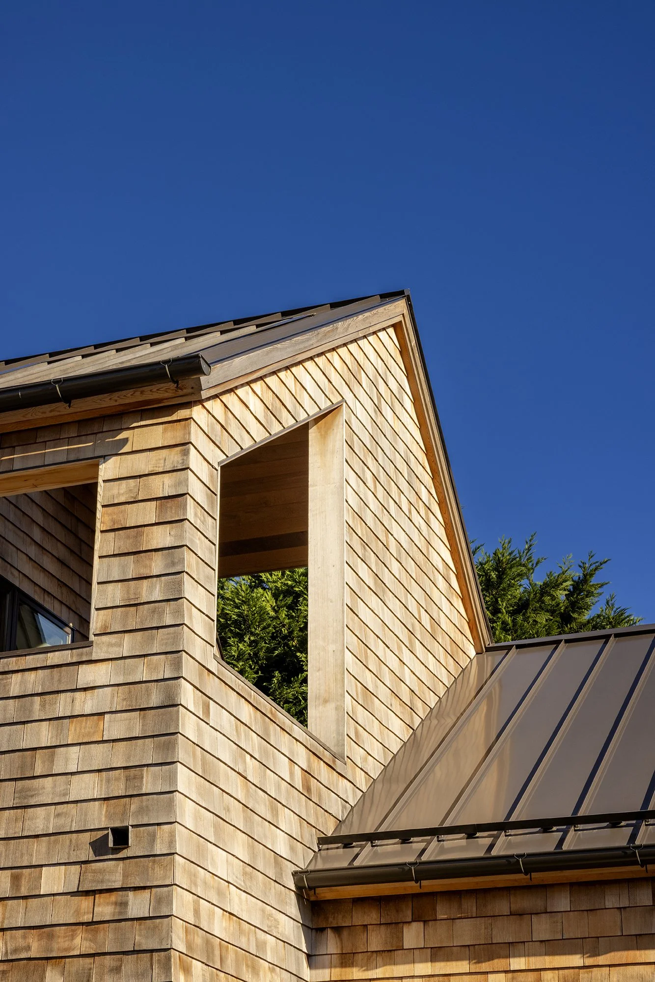 Residential Studio | Sustainable — Nexus Creative Design