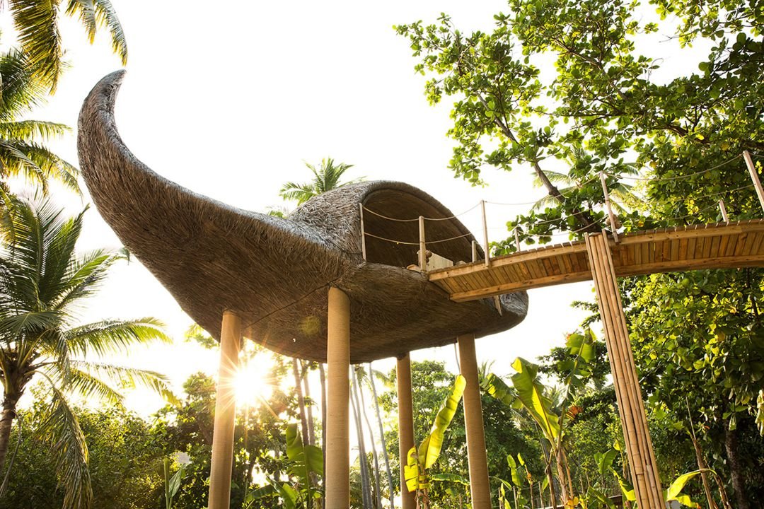 treehouse.jpg