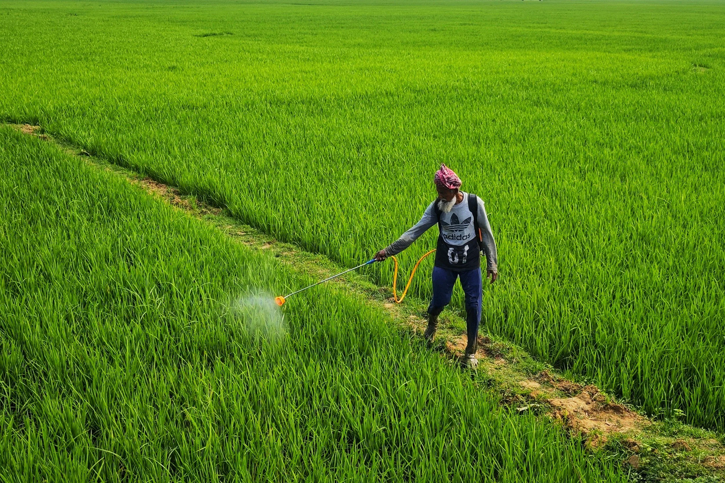 How to Limit Your Exposure to Pesticides in Produce