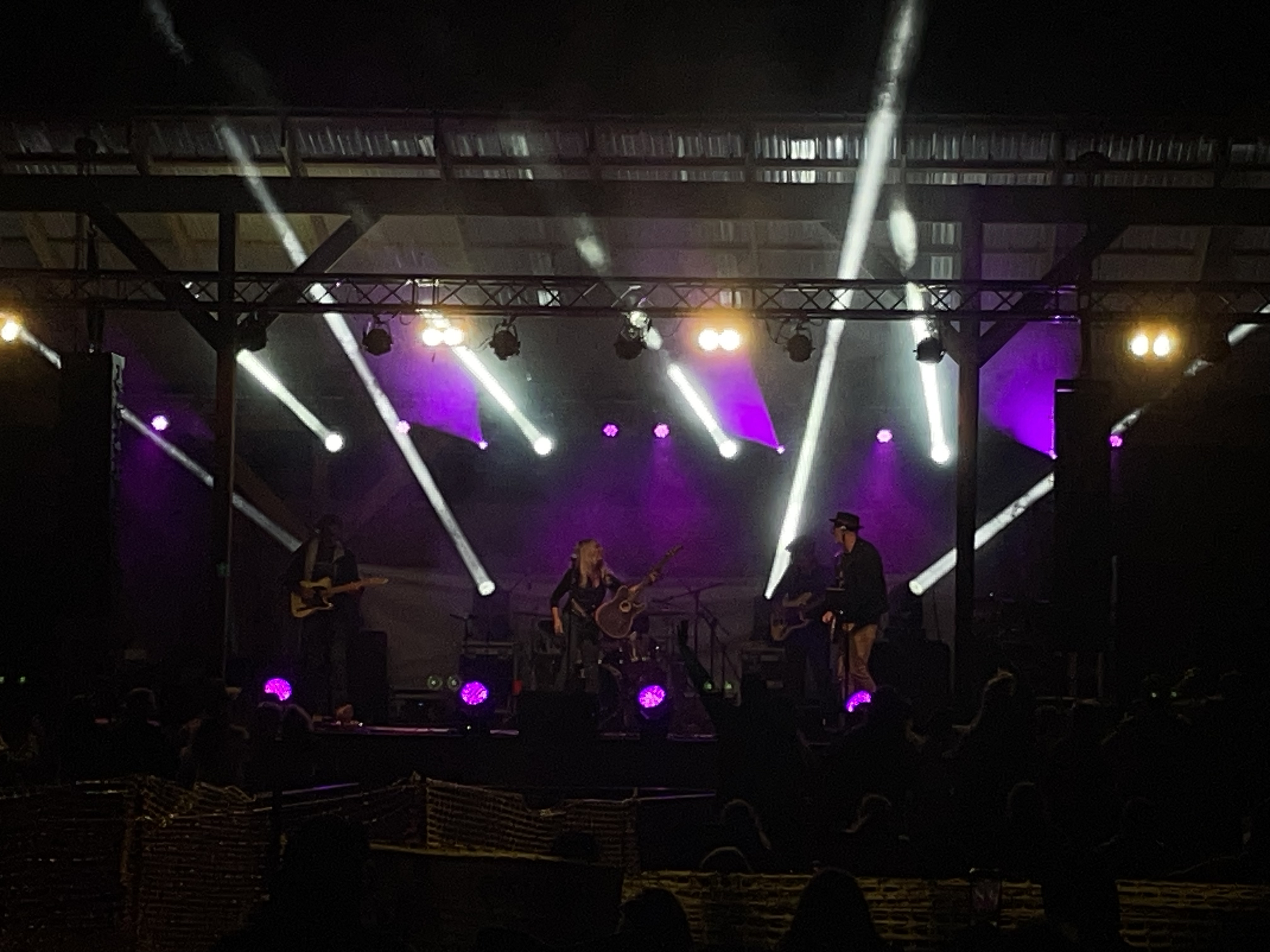 A nighttime concert scene with musicians on stage illuminated by colorful spotlights, with audience silhouettes visible in the foreground.
