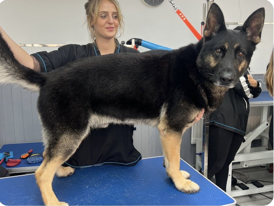 0cda195b-c827-4d5d-91a5-12b38fb7a31d 2.jpg