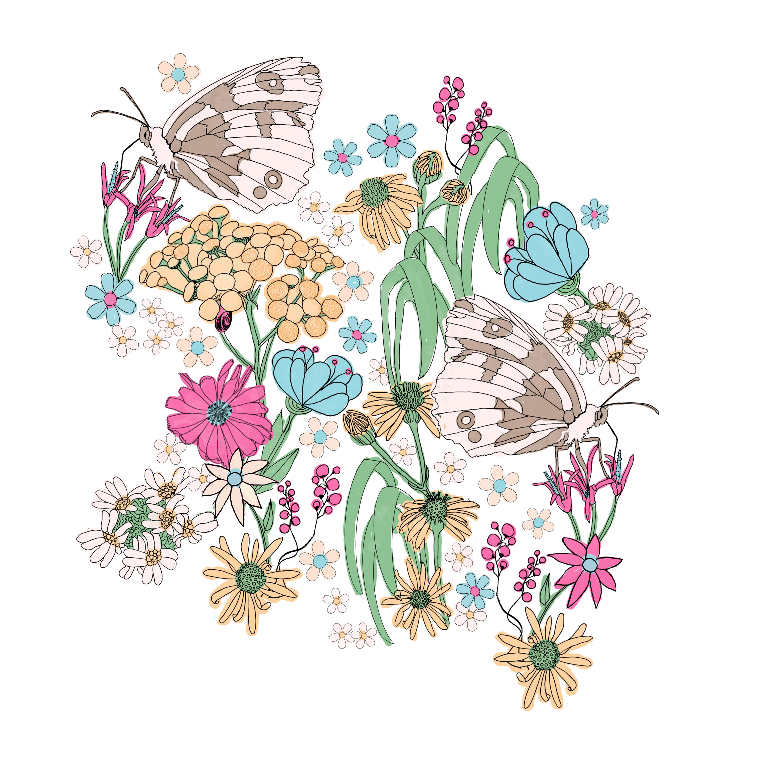 IMG_4941.png