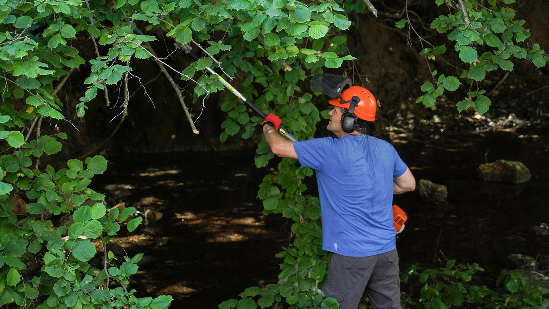 A man in a blue shirt, gray pants, wearing an orange safety helmet and protective ear gear, trimming tree branches over a river with a pole saw.