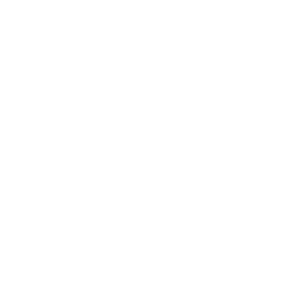 The image shows a black silhouette of a butterfly with intricate wing patterns, positioned against a white background.