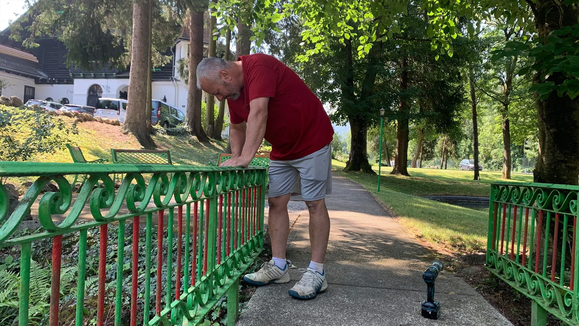 A man with gray hair wearing a red shirt, gray shorts, white socks, and sneakers is pruning a small green and red metal fence in a park with tall trees and green grass.