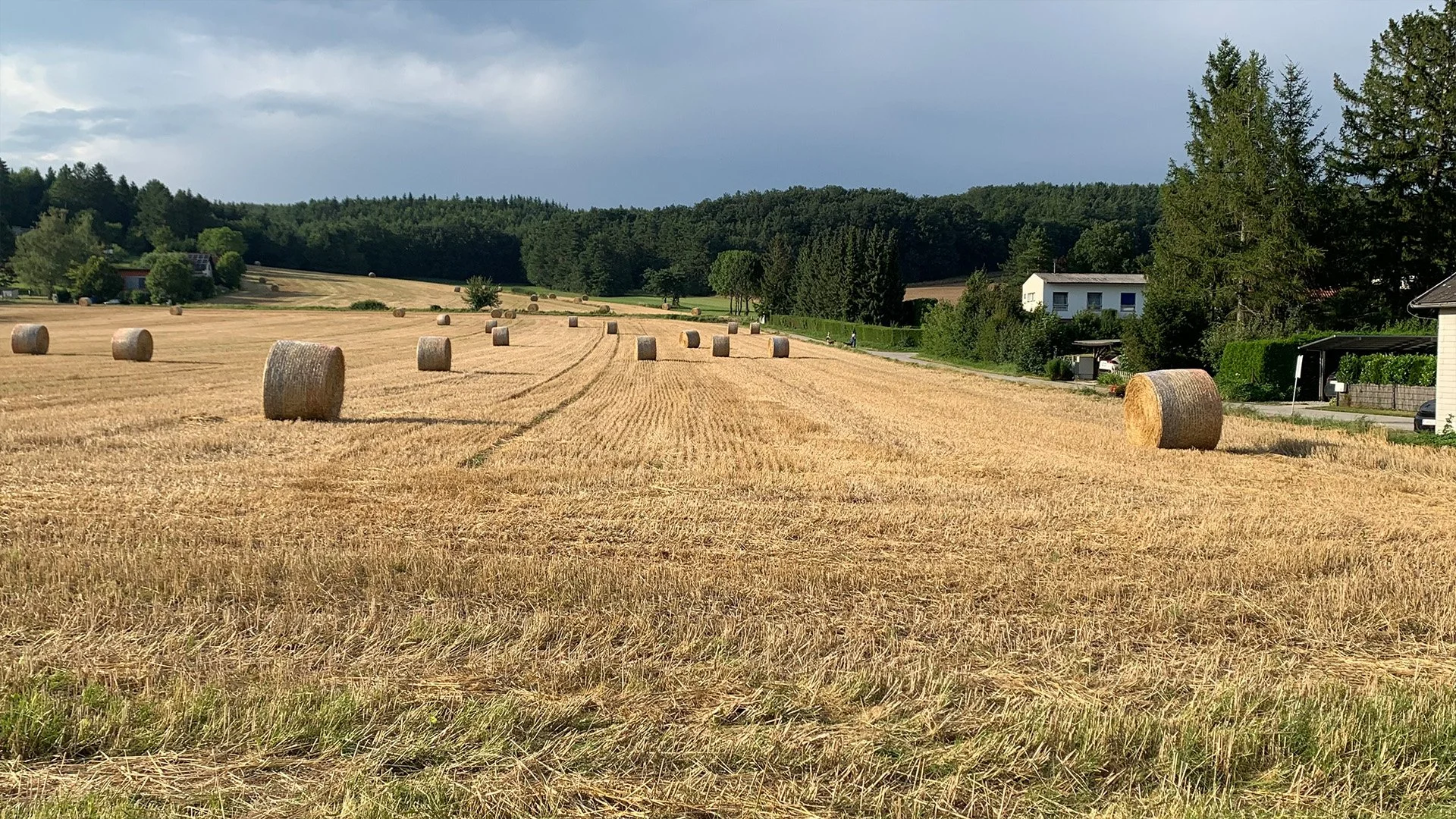 Field with round hay bales, trees, and houses in the background under a cloudy sky.