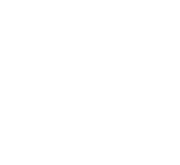 A plain white background with no distinguishable objects.