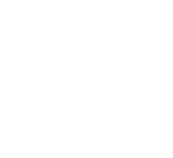 A white snail shell with a spiral pattern resting on a dark, weathered wooden surface.