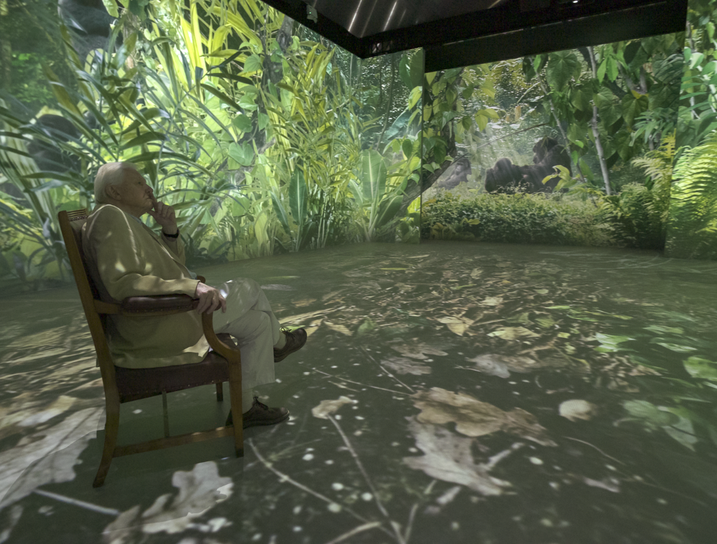 David Attenborough sitting in the exhibit