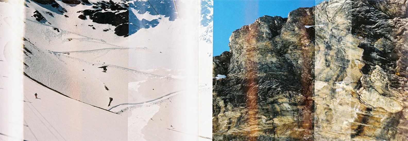 Biome13NB.jpg