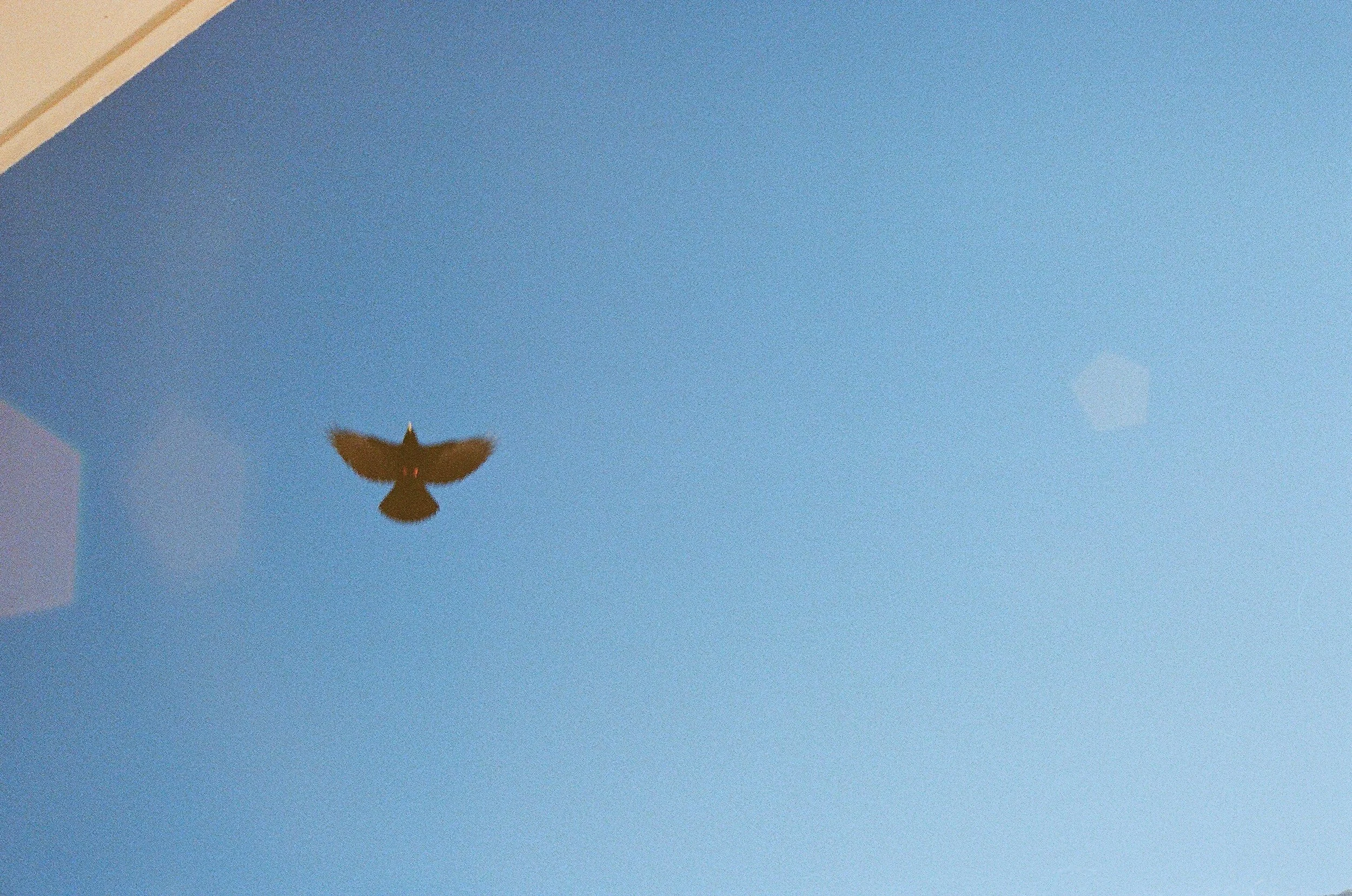 47510001.jpg