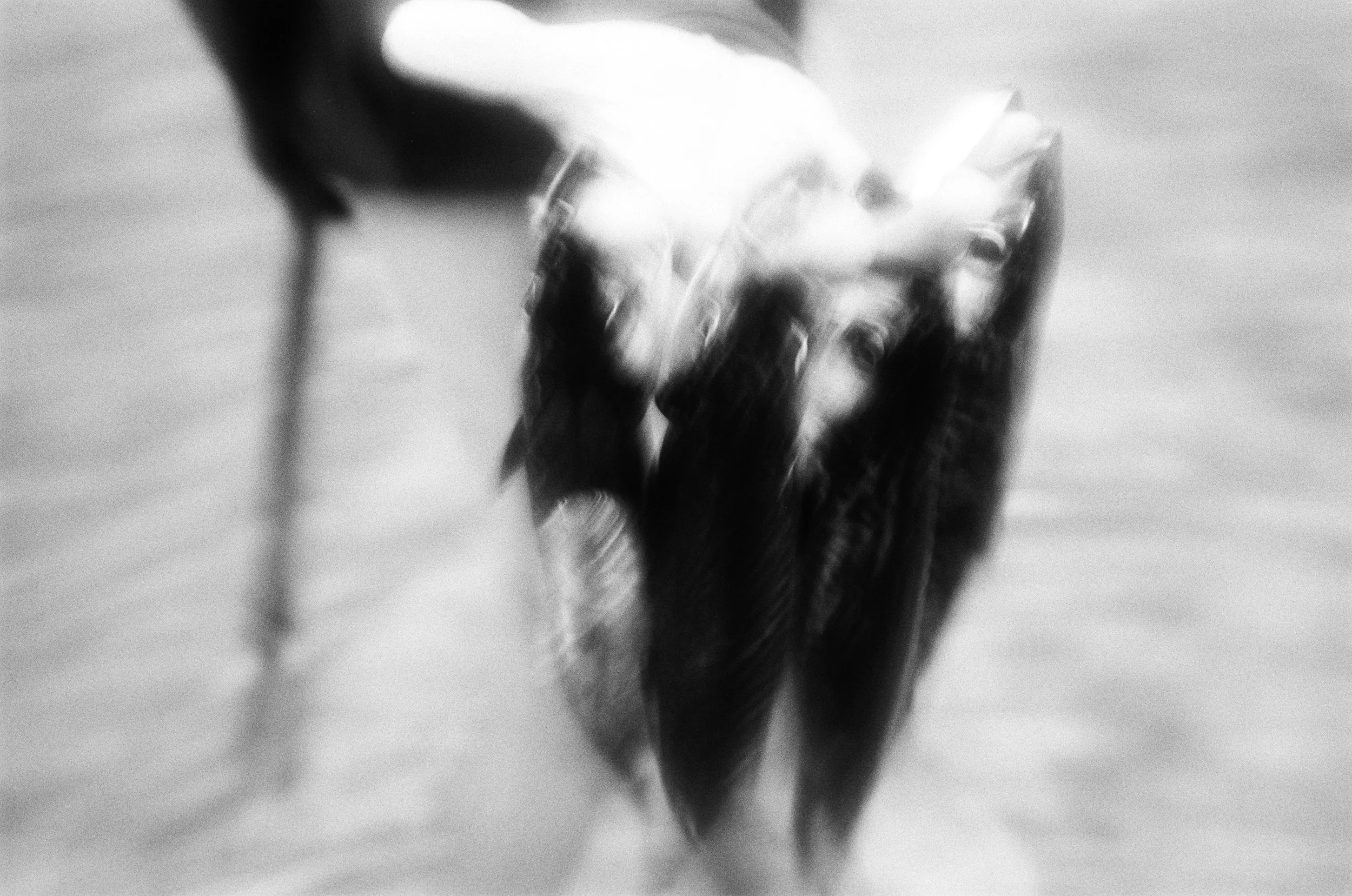IMG_8177.jpeg