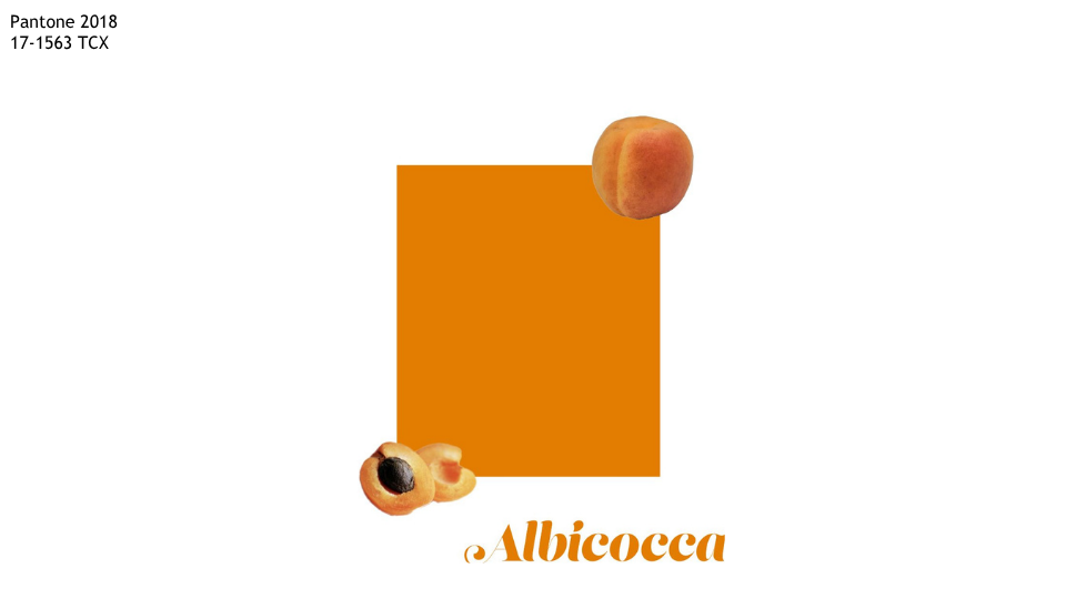 10.png