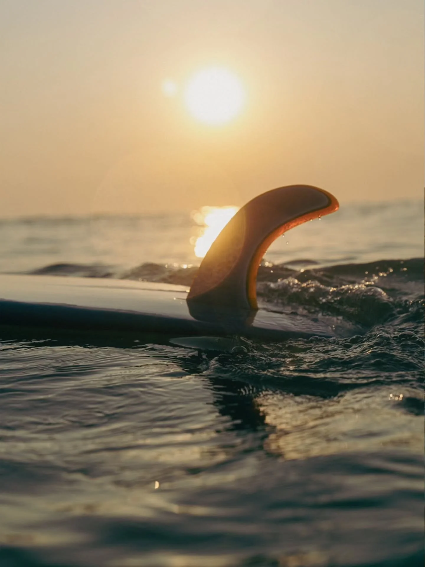 Spring clearly clocked in early&hellip; and we weren&rsquo;t about to question it.

Two days of sunshine, clean lines, and that kind of glassy ocean that makes you forget every freezing, wind-blown session we&rsquo;ve suffered through all winter. The