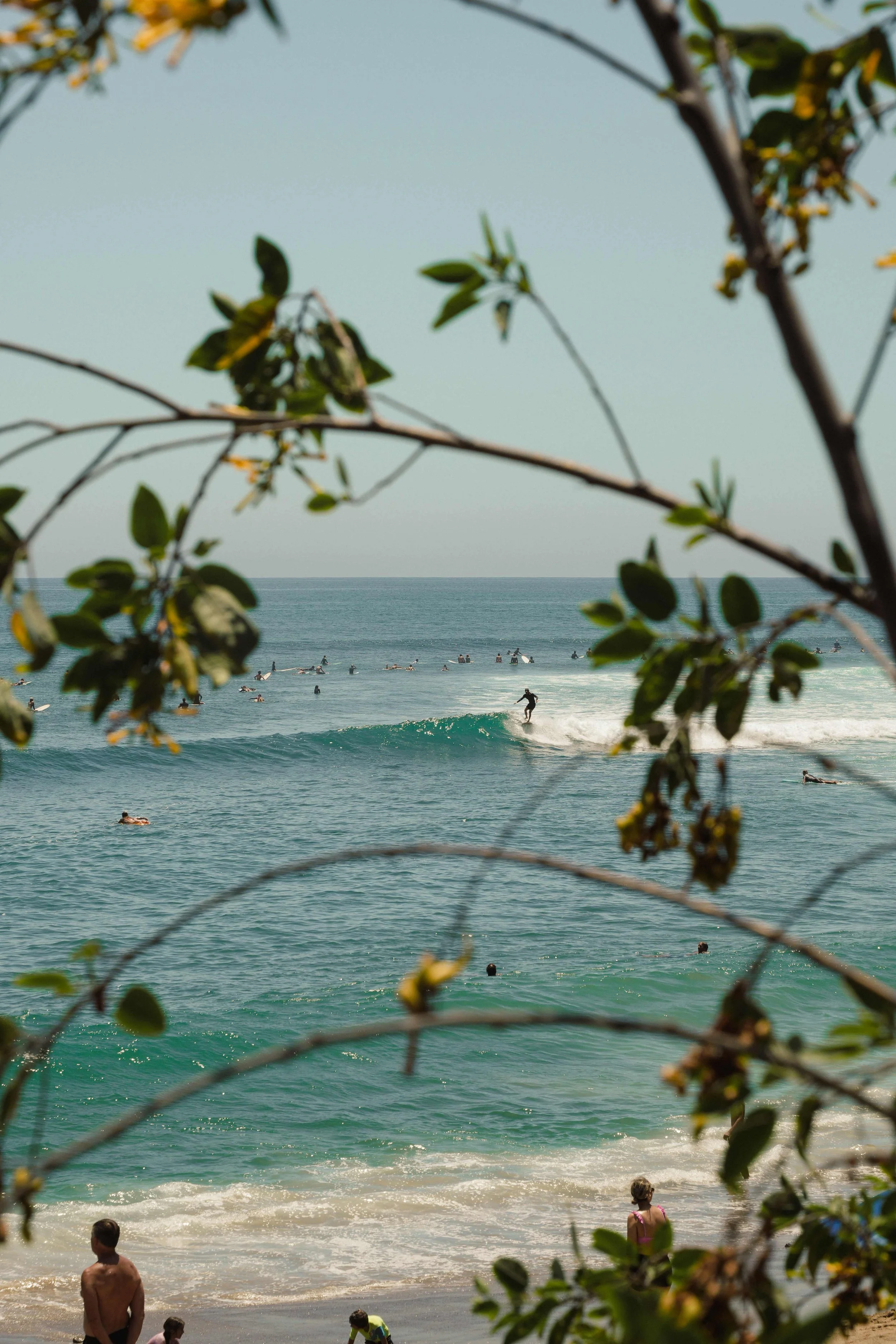 Malibu-Surf-Rider-Beach-California-USA-DSC09114.jpg