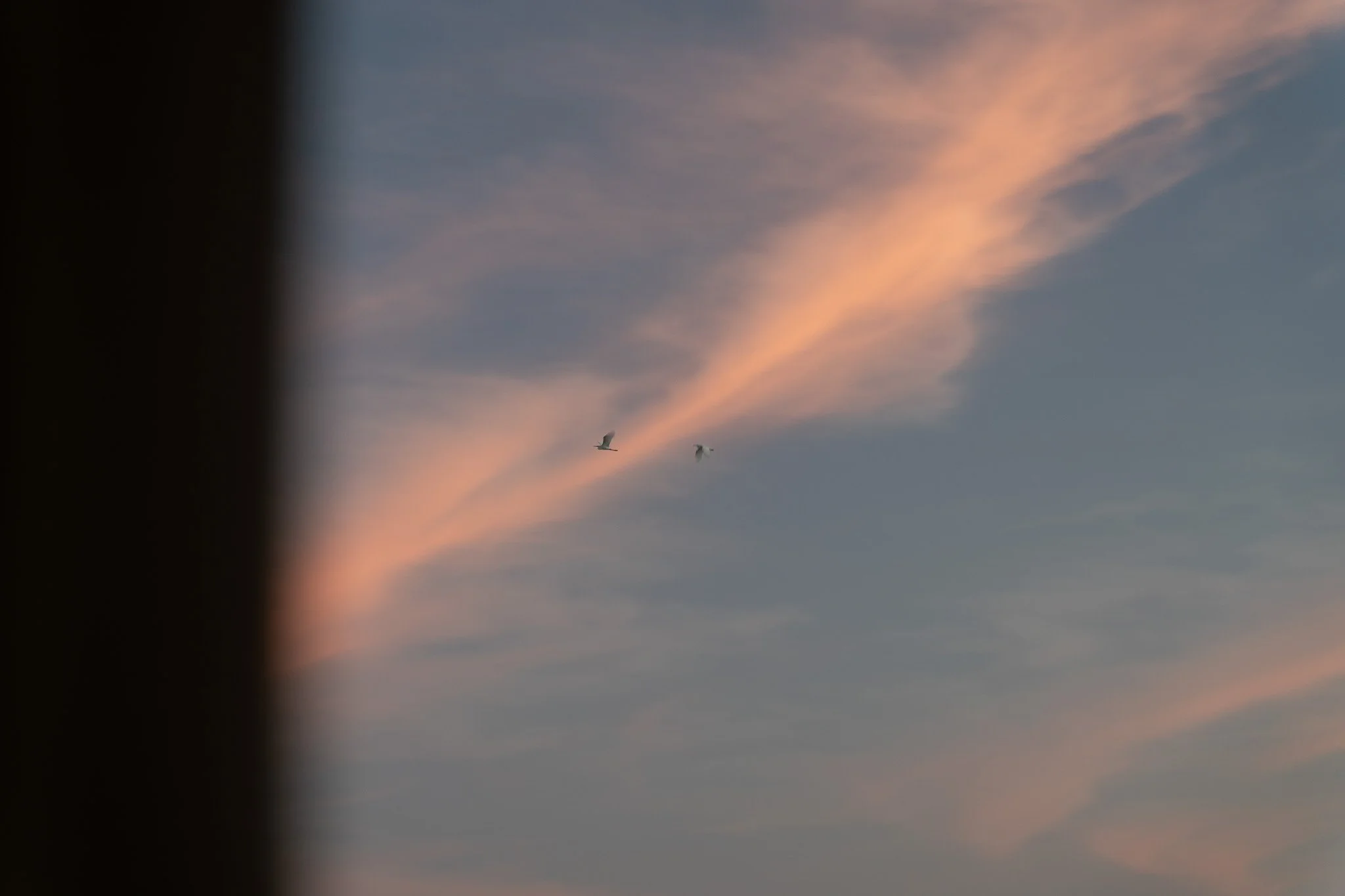 DSC02070.jpg