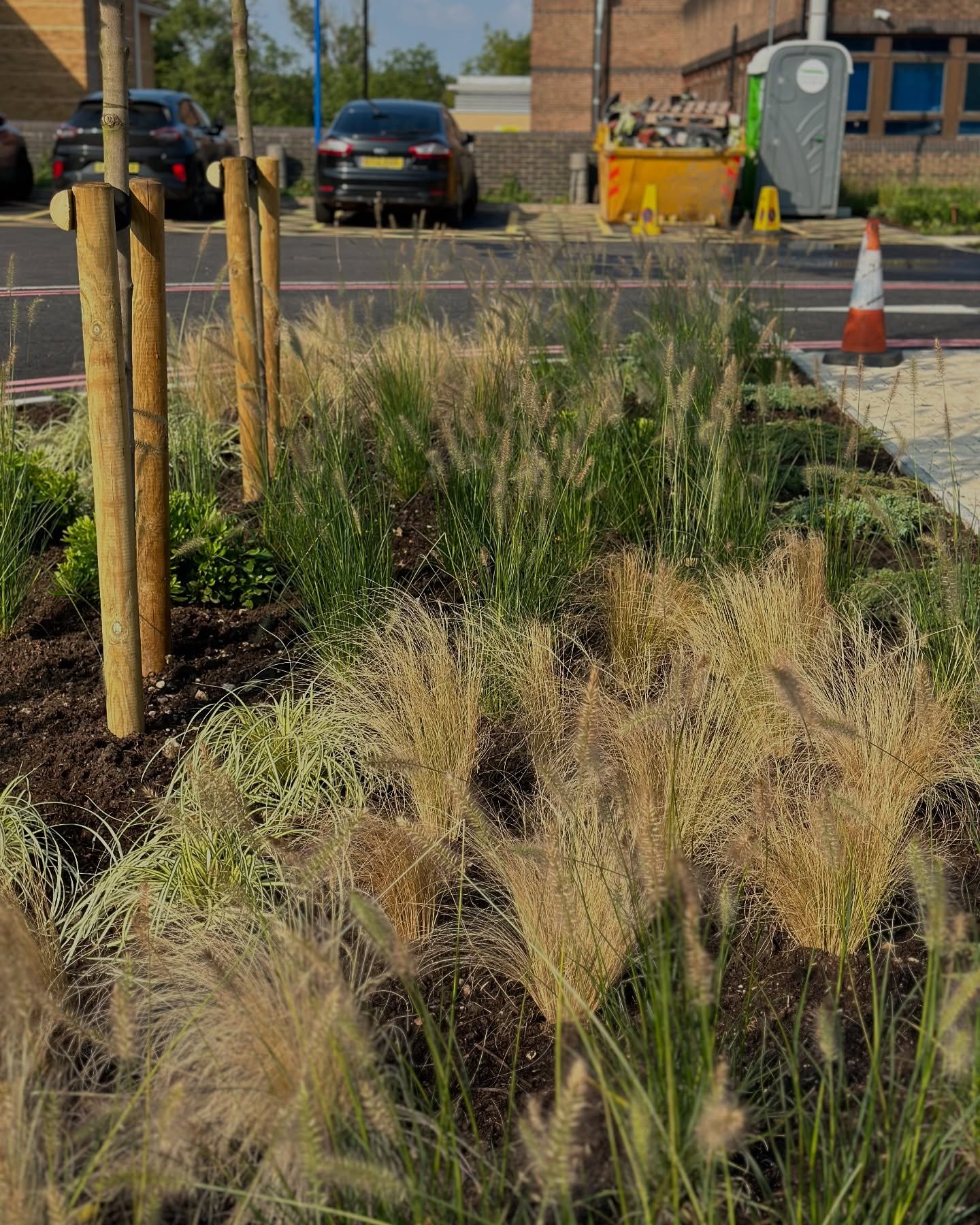 #worldcancerday is today. Here is a look back at the planting we undertook in September last year at @fountaincentre @royalsurreycountyhospital surrounding the new car parking and seating areas.
Cancer is such an awful disease and it gave us such a b