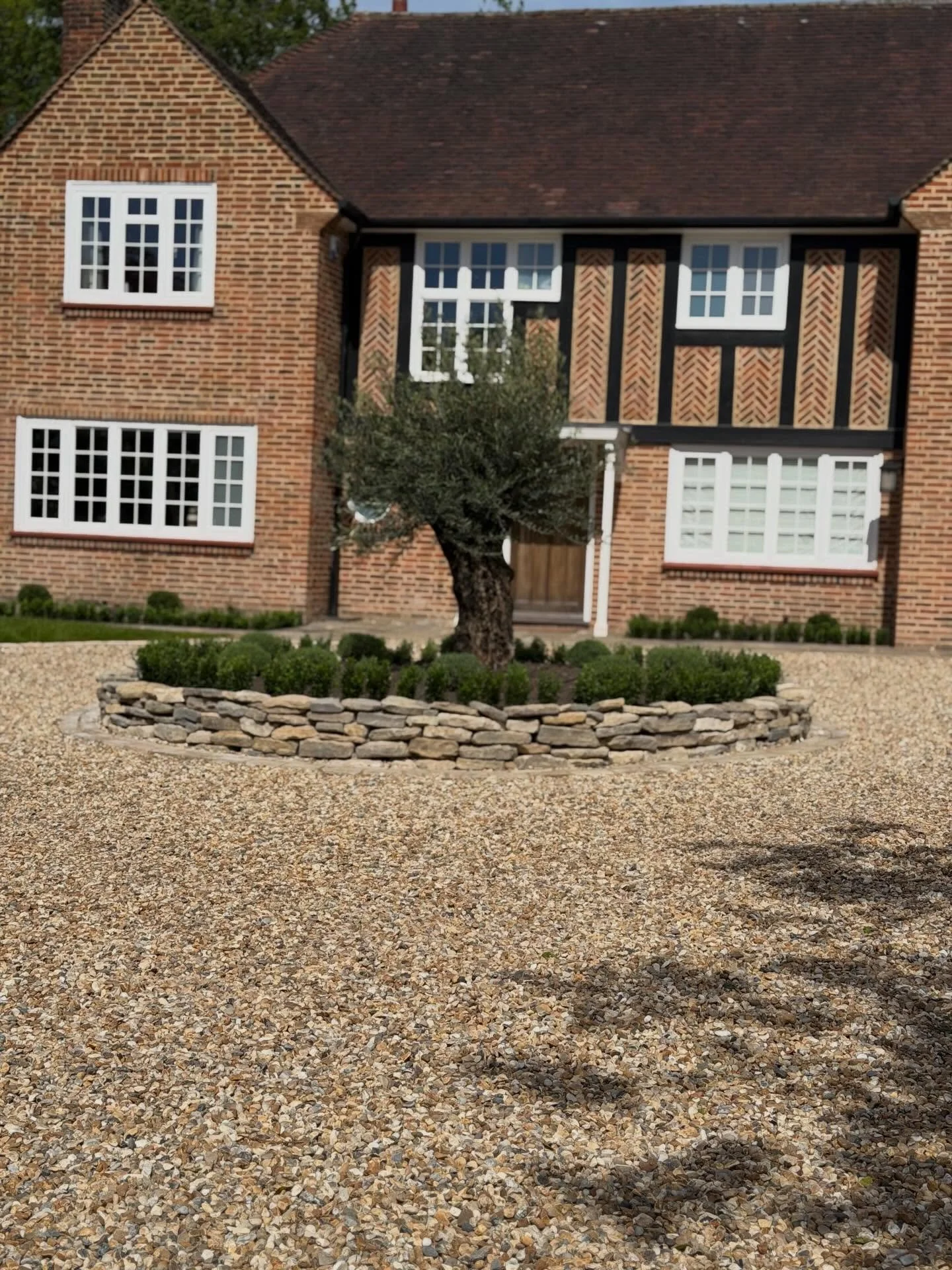 Planting successfully completed in an Epsom garden. Designed &amp; planted by Flora Garden Design. Landscaping by Executive Gardens.
#epsom #frontgarden #olive #gardendesign #gardeninspiration